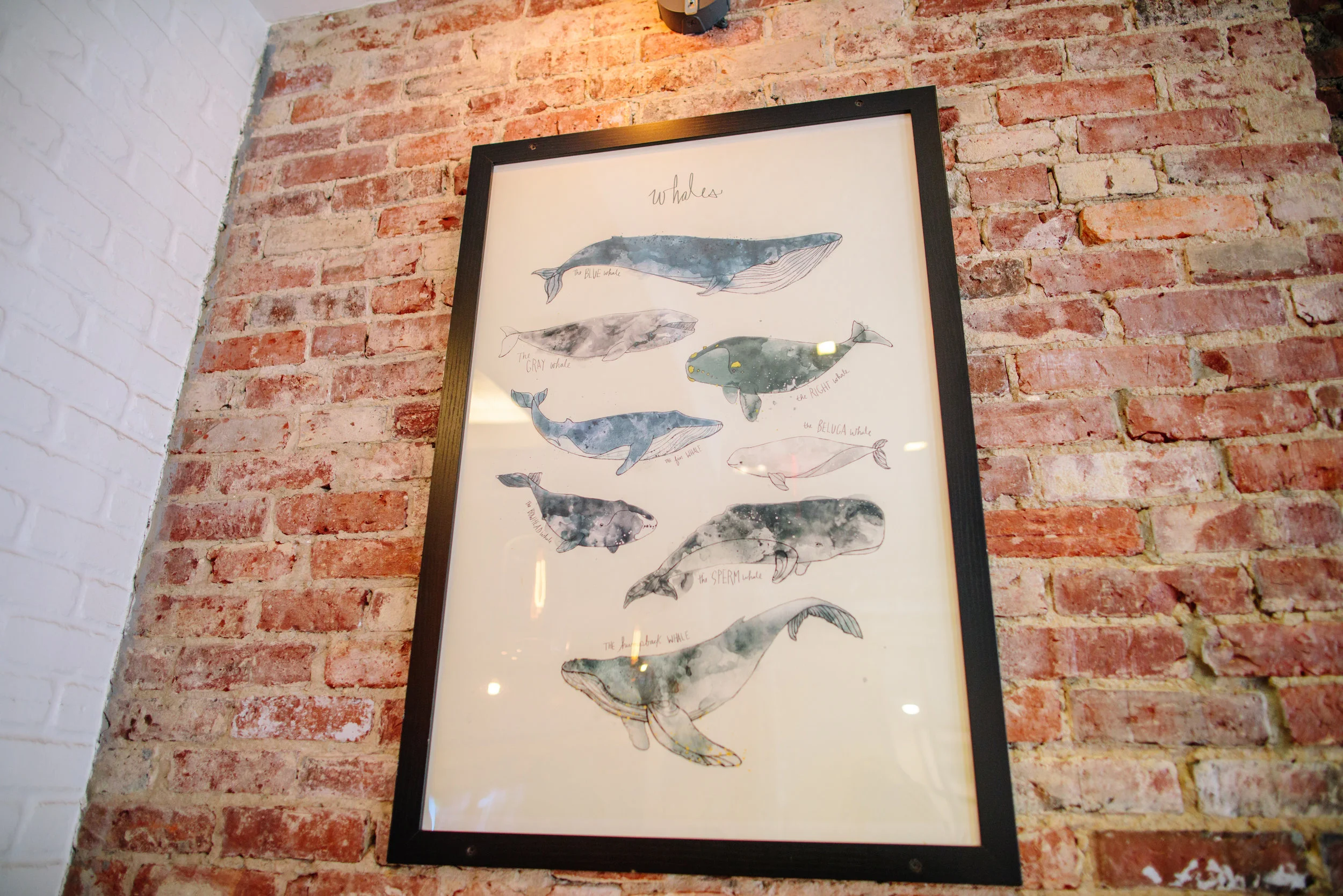SELECT OYSTER BAR_CREDIT BRIAN SAMUELS_FEBRUARY 2018 - 17.jpg