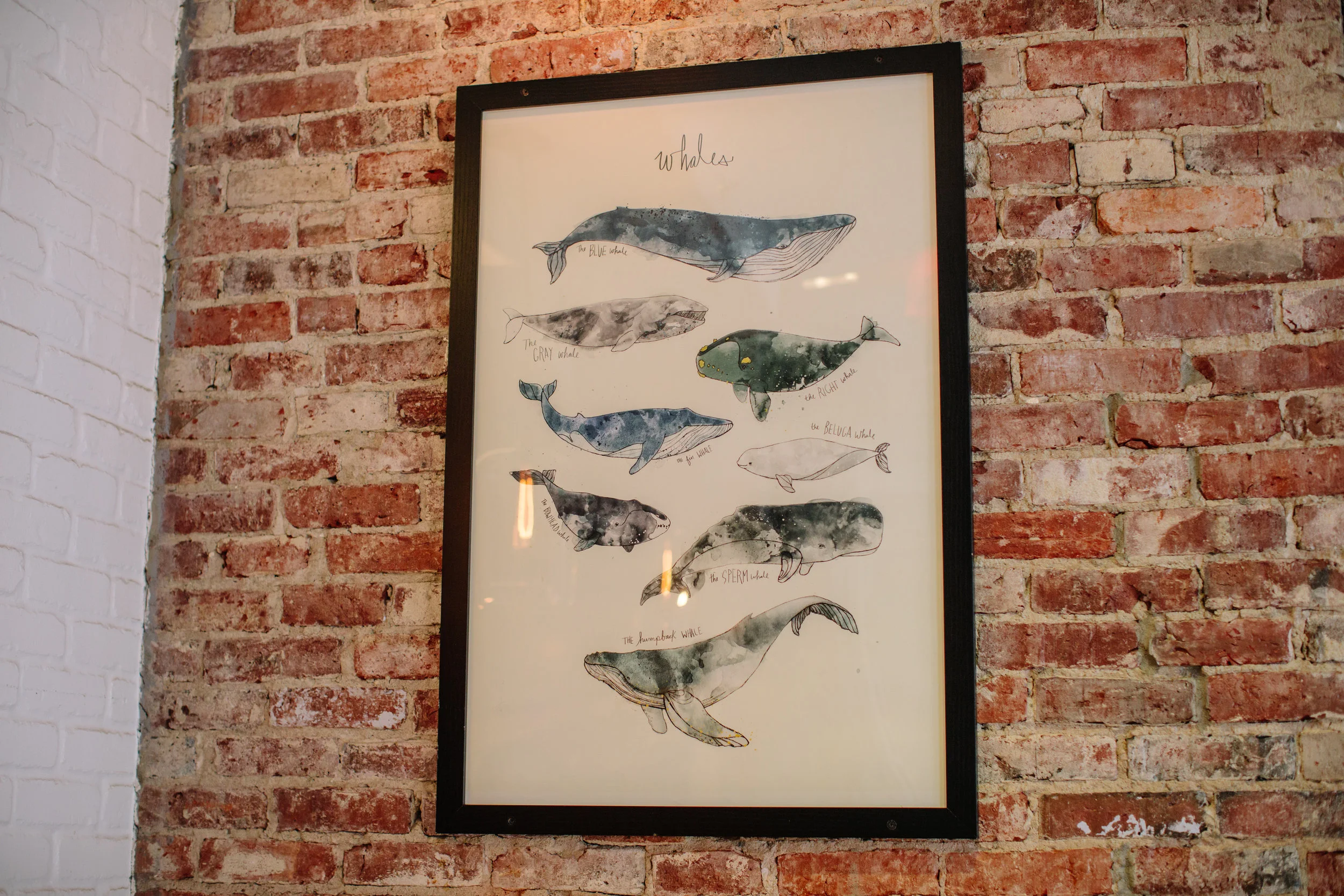 SELECT OYSTER BAR_CREDIT BRIAN SAMUELS_FEBRUARY 2018 - 38.jpg