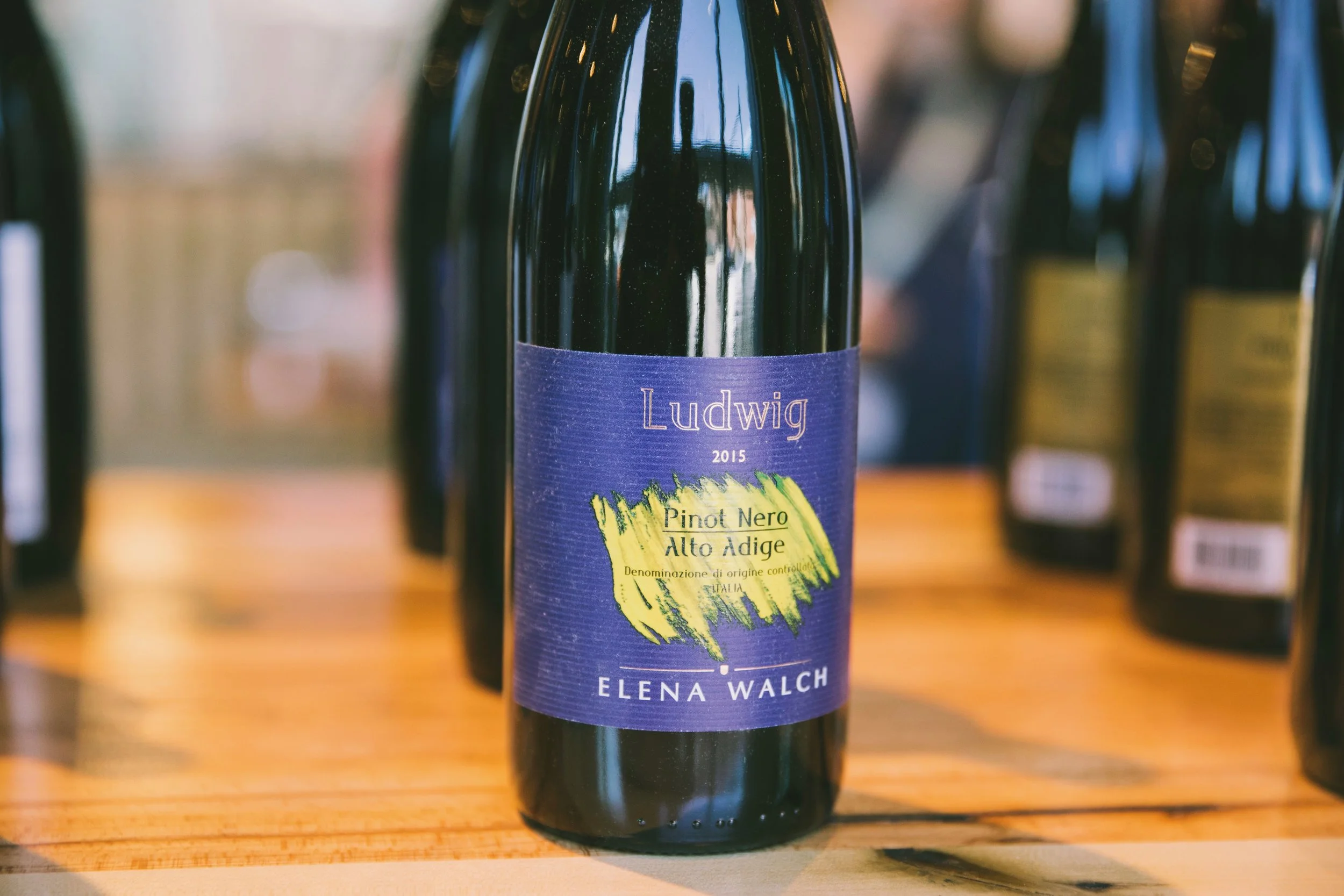 ALTO ADIGE SUDTIROL WINE EVENT AT CITY WINERY BOSTON_TEUWEN COMMUNICATIONS_CREDIT BRIAN SAMUELS PHOTOGRAPHY_APRIL 2018 - 105.jpg