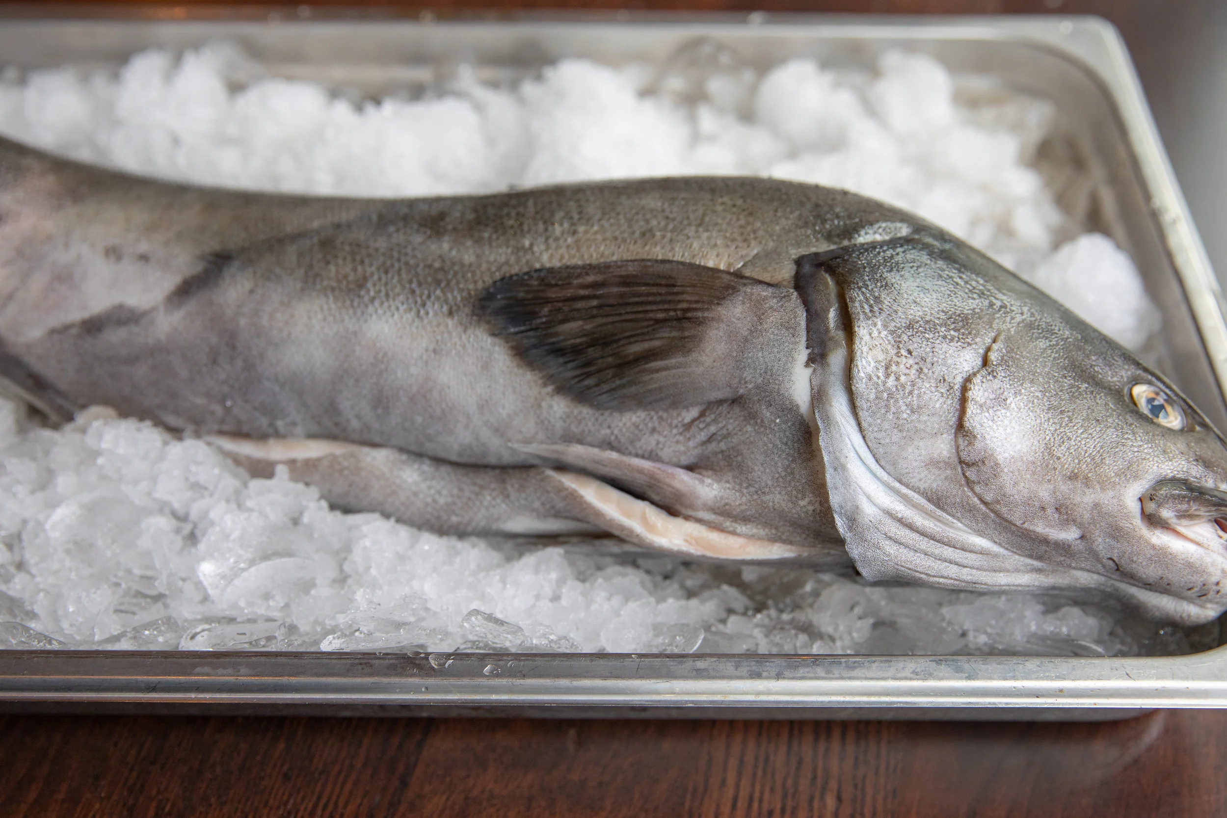 WHEELER SEAFOOD_TUSCAN KITCHEN SEAPORT_BRIAN SAMUELS PHOTOGRAPHY_MAY 2018-0092.jpg