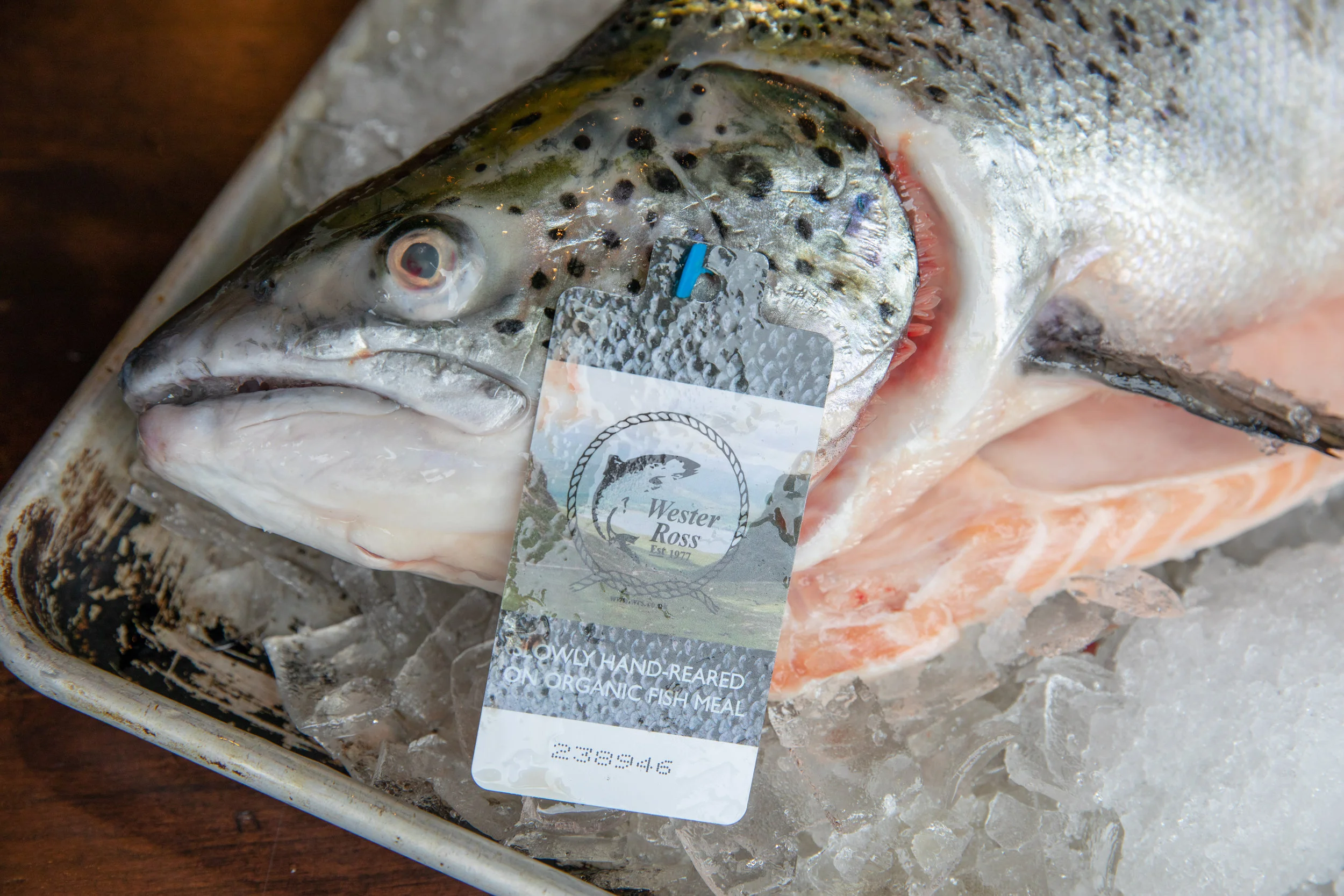 WHEELER SEAFOOD_TUSCAN KITCHEN SEAPORT_BRIAN SAMUELS PHOTOGRAPHY_MAY 2018-0143.jpg