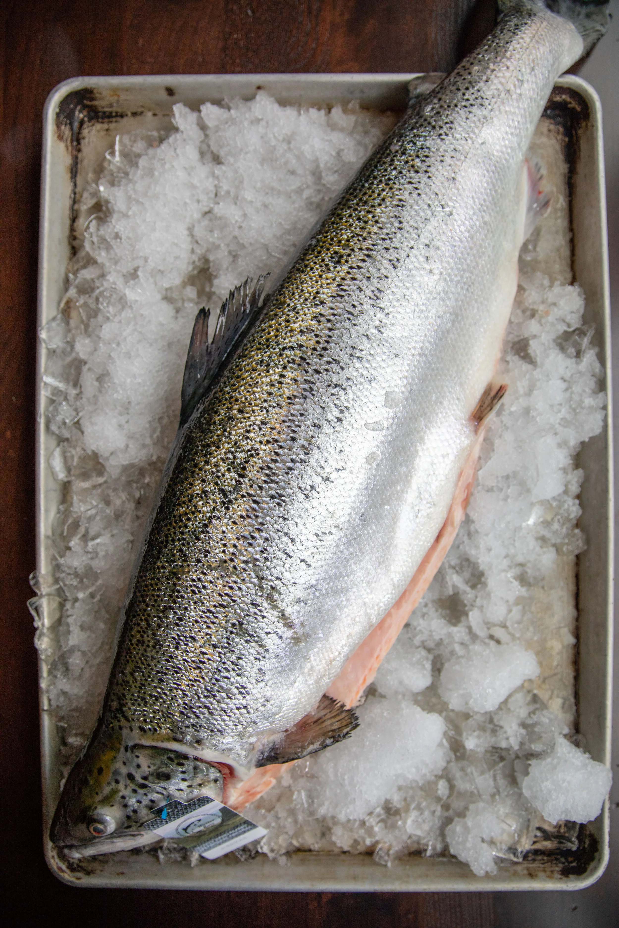 WHEELER SEAFOOD_TUSCAN KITCHEN SEAPORT_BRIAN SAMUELS PHOTOGRAPHY_MAY 2018-0176.jpg