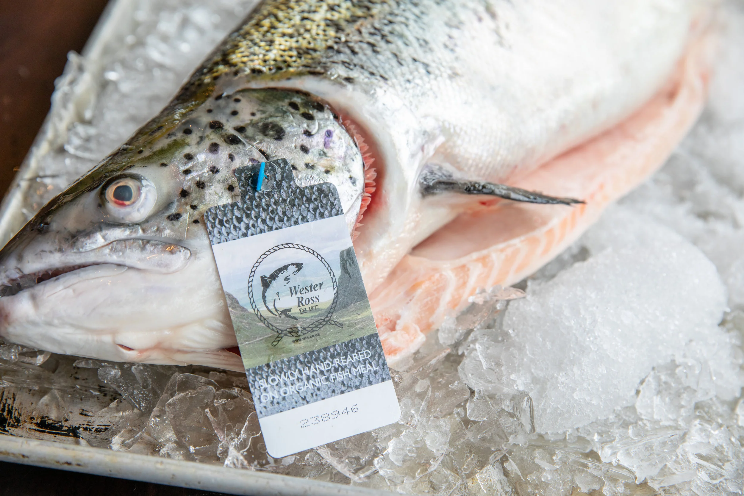 WHEELER SEAFOOD_TUSCAN KITCHEN SEAPORT_BRIAN SAMUELS PHOTOGRAPHY_MAY 2018-0183.jpg