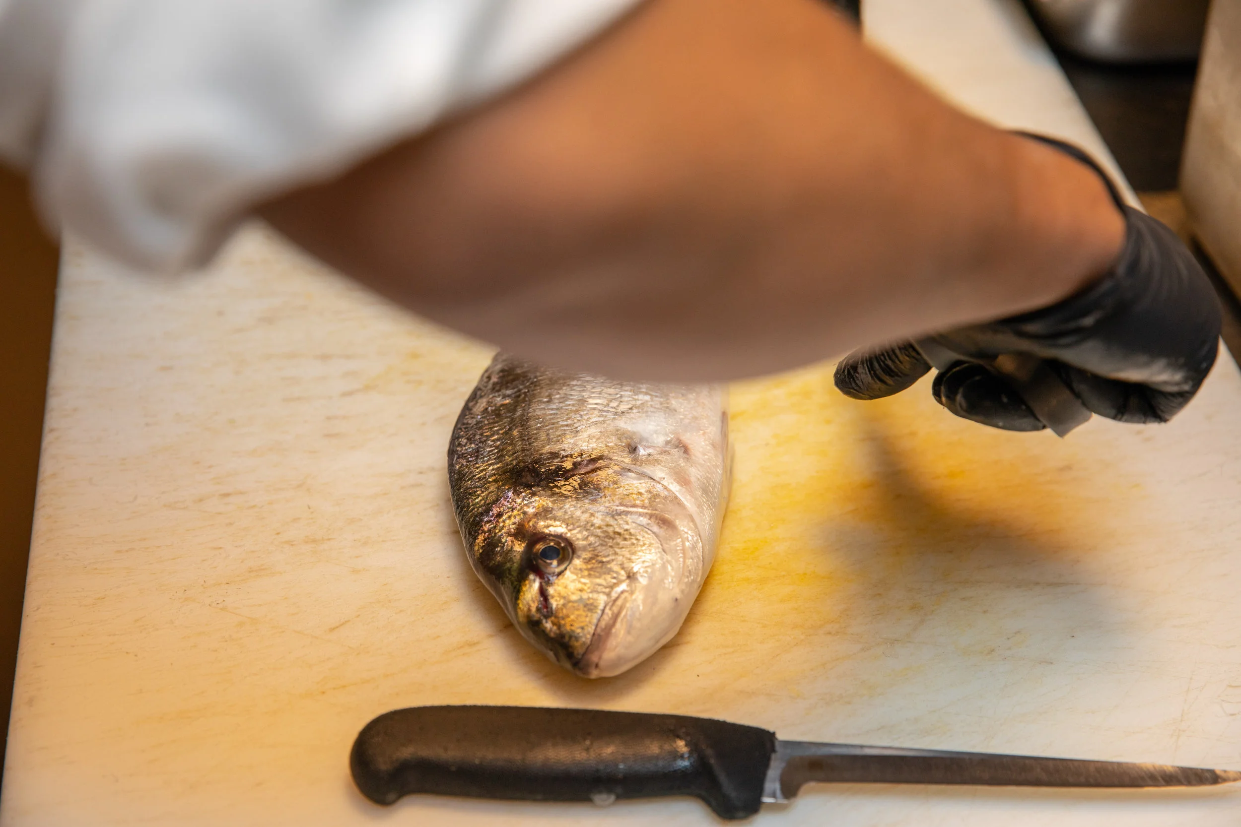 WHEELER SEAFOOD_TUSCAN KITCHEN SEAPORT_BRIAN SAMUELS PHOTOGRAPHY_MAY 2018-0254.jpg