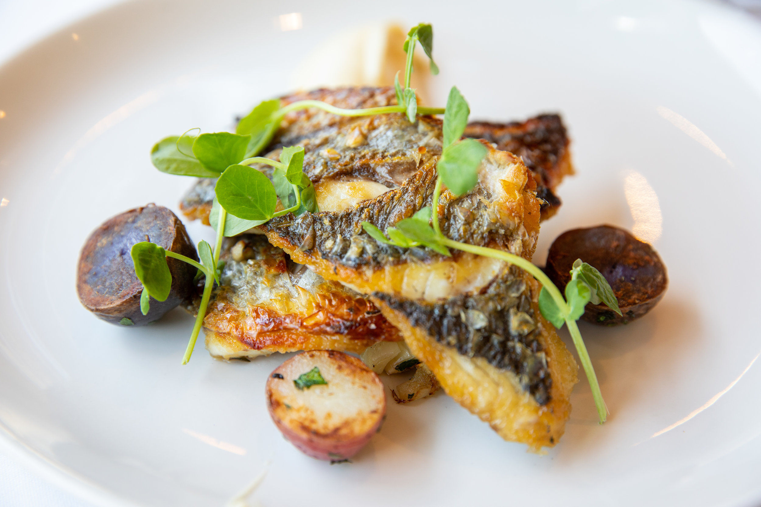 WHEELER SEAFOOD_TUSCAN KITCHEN SEAPORT_BRIAN SAMUELS PHOTOGRAPHY_MAY 2018-0584.jpg
