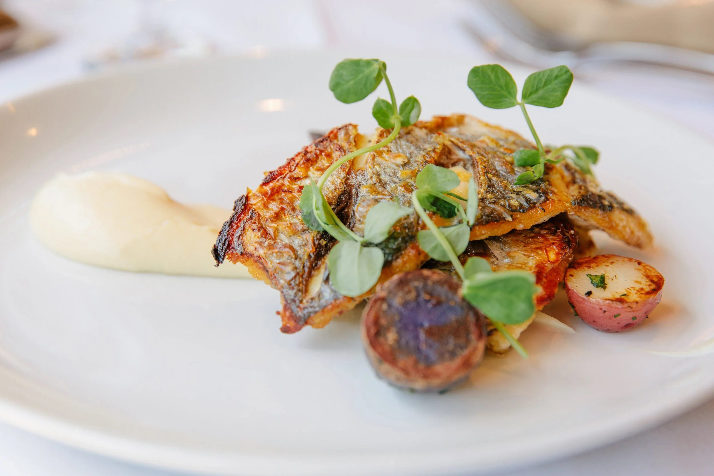 WHEELER SEAFOOD_TUSCAN KITCHEN SEAPORT_BRIAN SAMUELS PHOTOGRAPHY_MAY 2018-0607.jpg