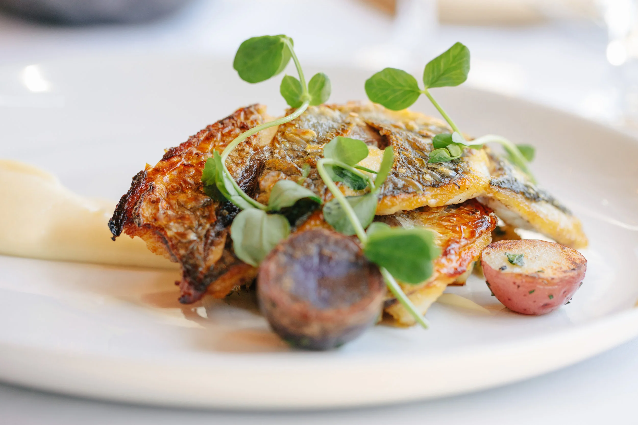 WHEELER SEAFOOD_TUSCAN KITCHEN SEAPORT_BRIAN SAMUELS PHOTOGRAPHY_MAY 2018-0630.jpg