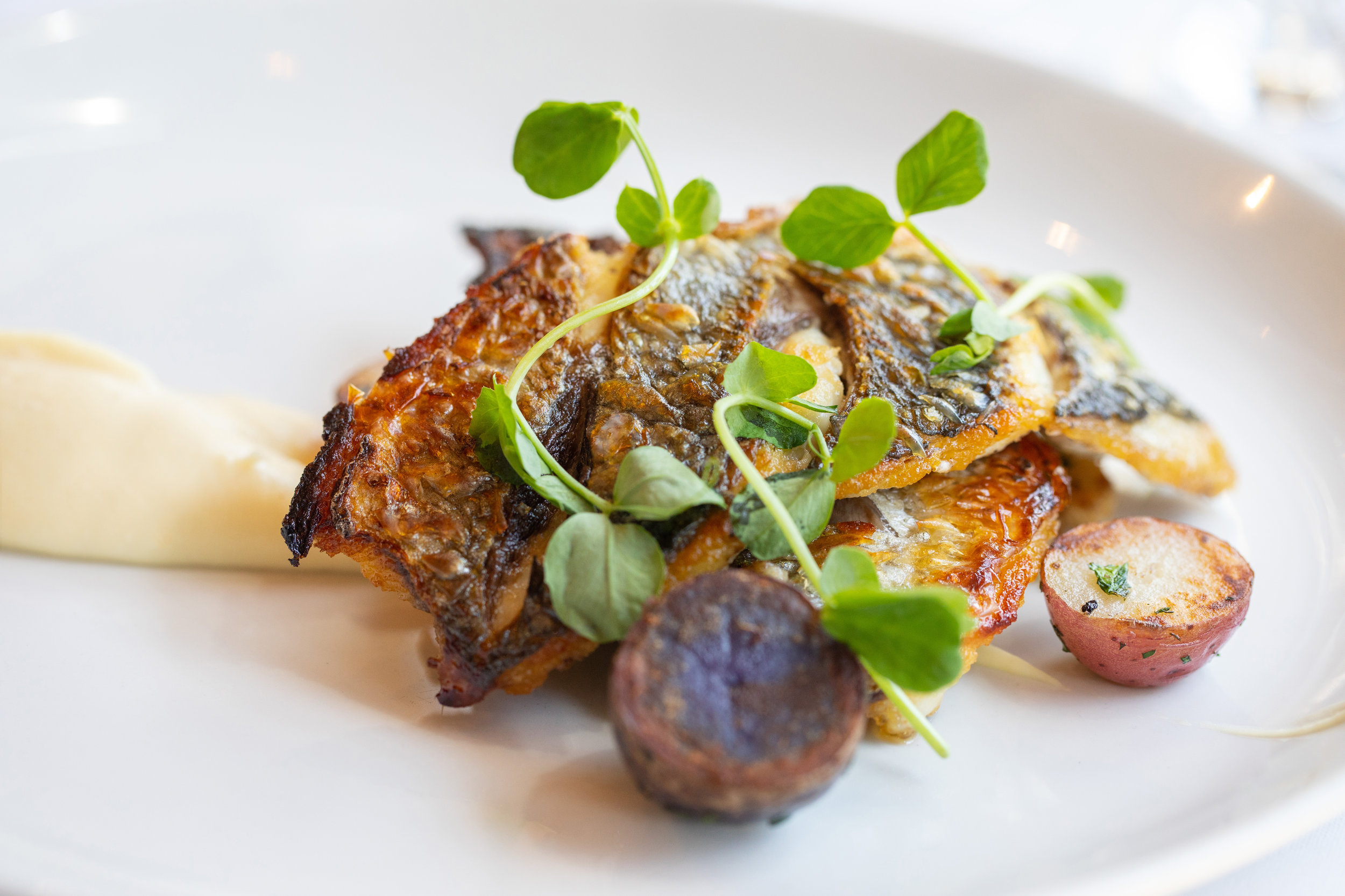 WHEELER SEAFOOD_TUSCAN KITCHEN SEAPORT_BRIAN SAMUELS PHOTOGRAPHY_MAY 2018-0634.jpg