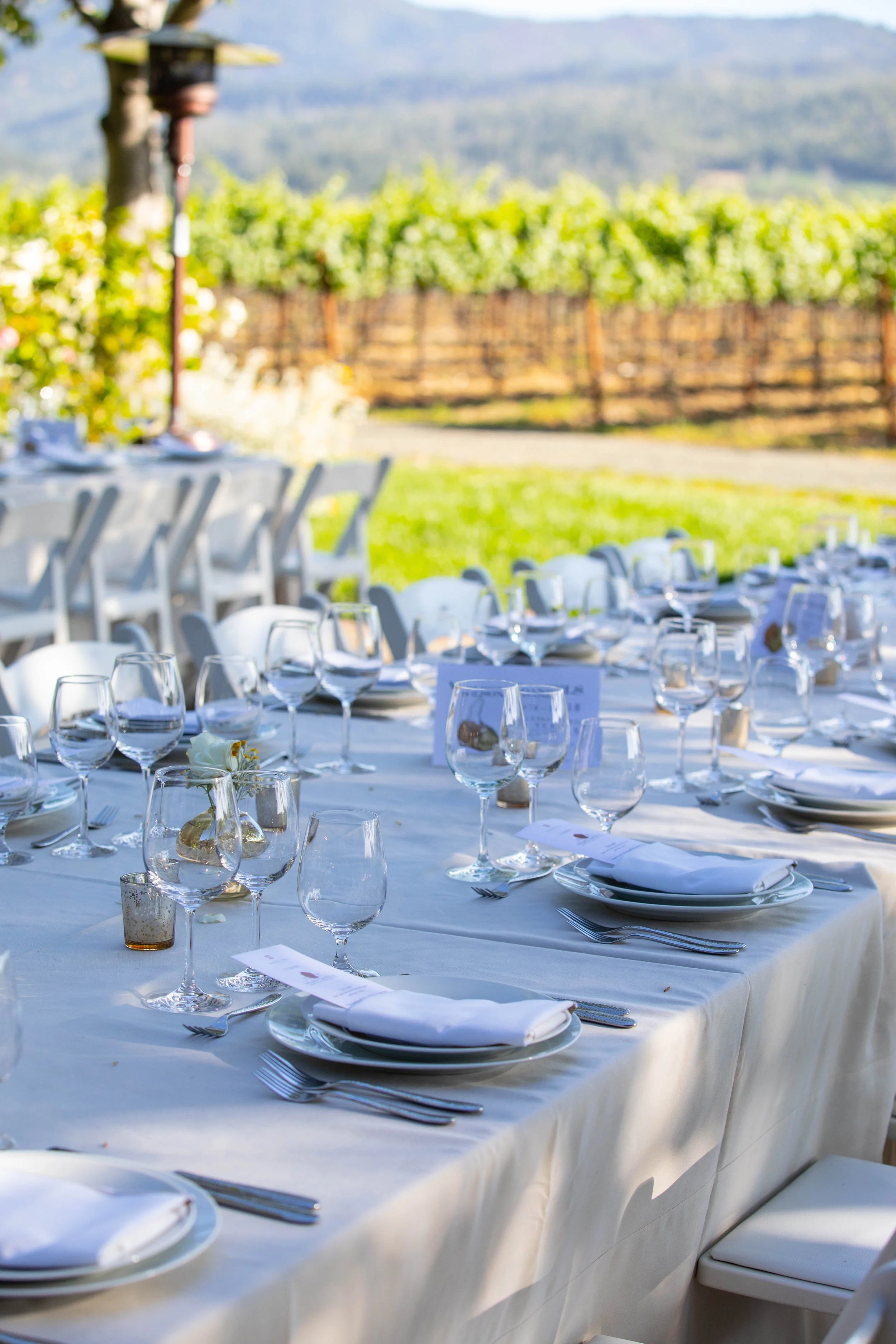 WILSON DANIELS 40TH ANNIVERSARY_ST HELENA_CREDIT BRIAN SAMUELS PHOTOGRAPHY_JUNE 2018 - 154.jpg