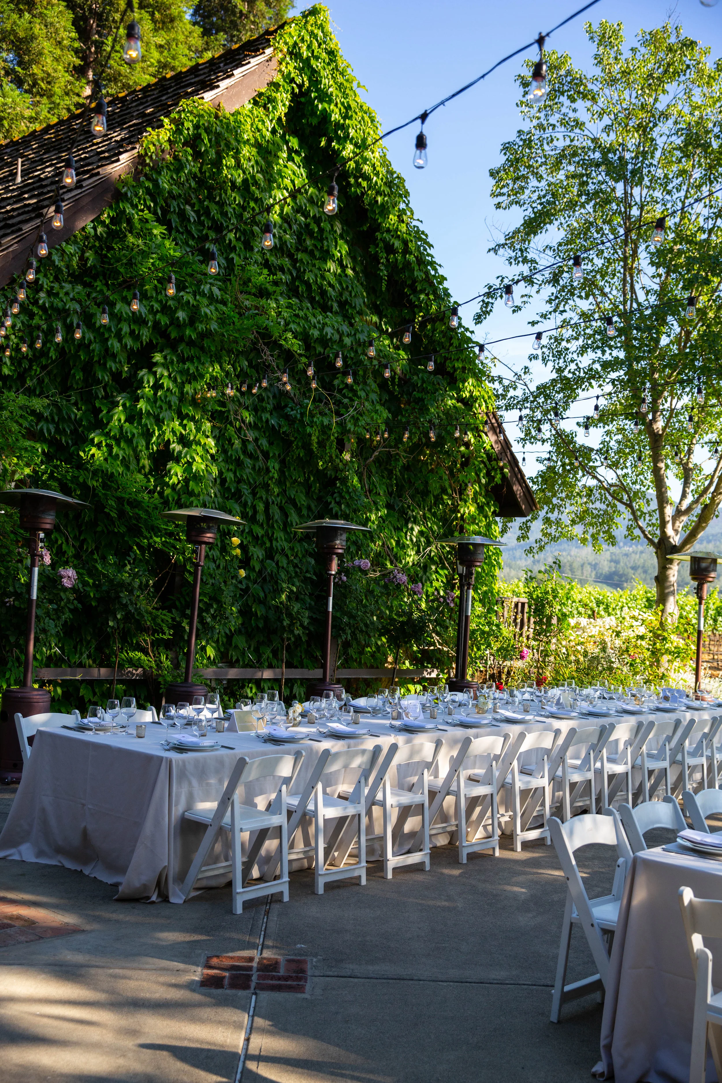 WILSON DANIELS 40TH ANNIVERSARY_ST HELENA_CREDIT BRIAN SAMUELS PHOTOGRAPHY_JUNE 2018 - 155.jpg