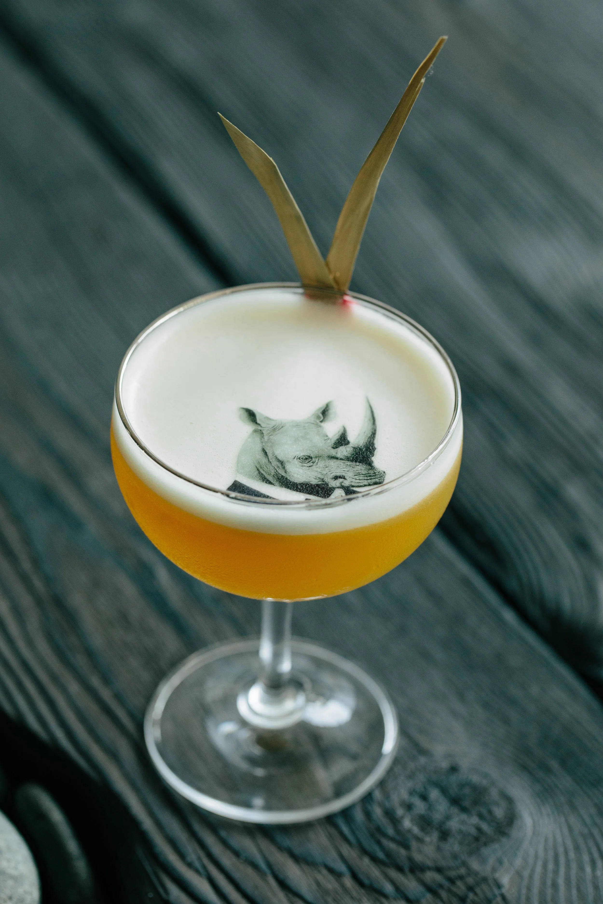 COCKTAIL ARTIST_NATIONAL LEMON JUICE DAY PHOTOO SHOOT WITH TENZIN_AUGUST 2018_0070.jpg