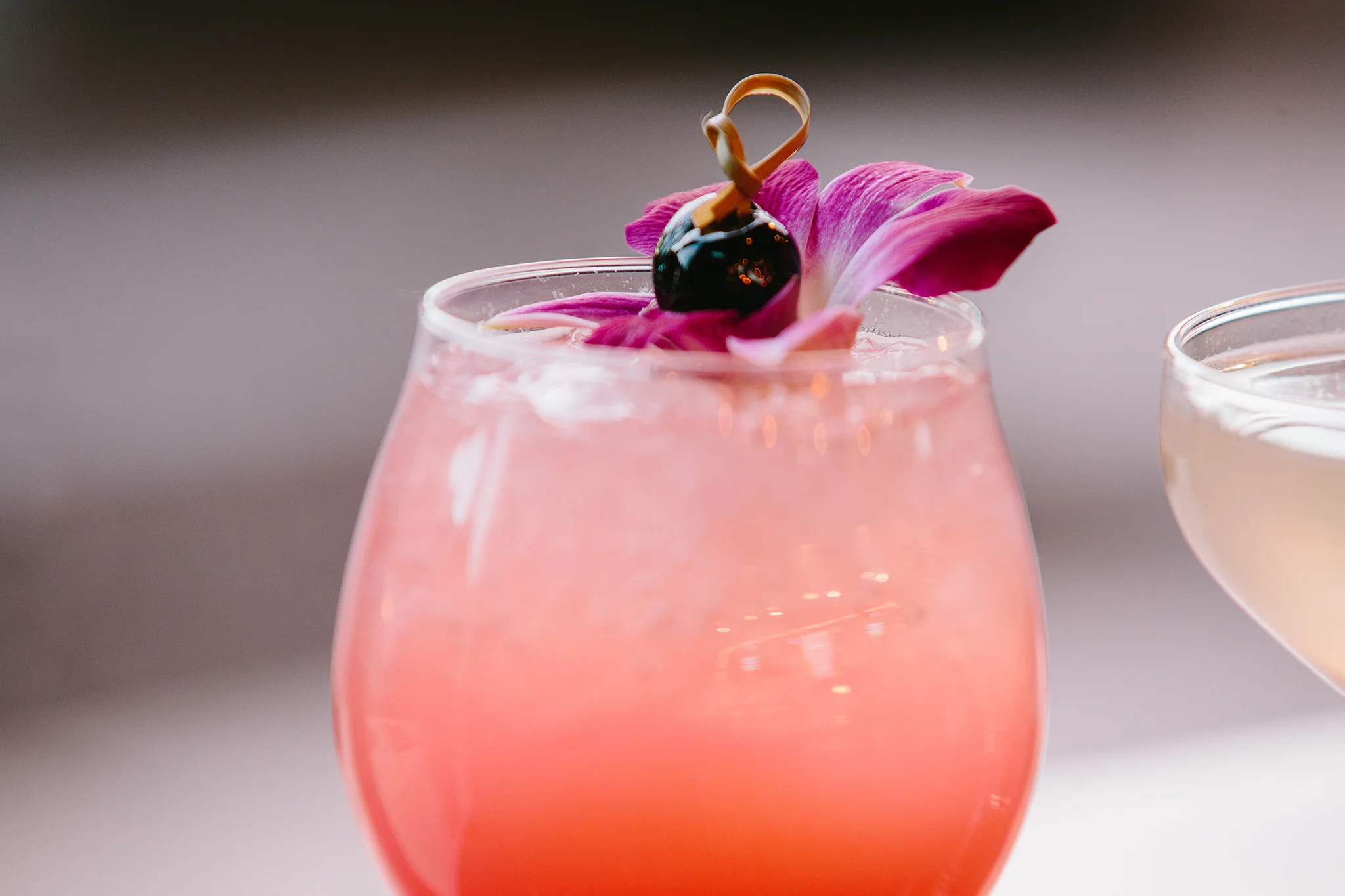 BACKYARD BETTY'S_CREDIT BRIAN SAMUELS PHOTOGRAPHY_DECEMBER 2018-0152 copy.jpg