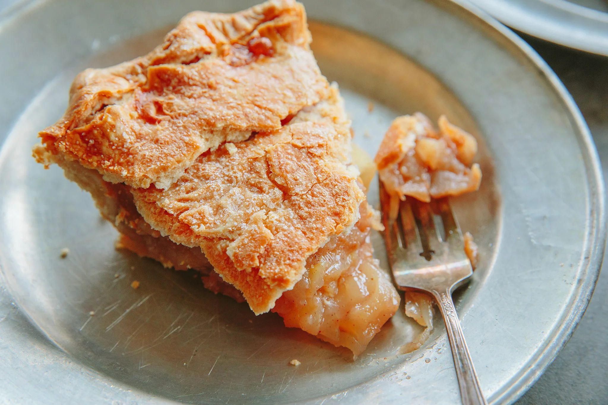 PETSI PIES_CREDIT BRIAN SAMUELS PHOTOGRAPHY_DECEMBER 2018-0035 copy.jpg