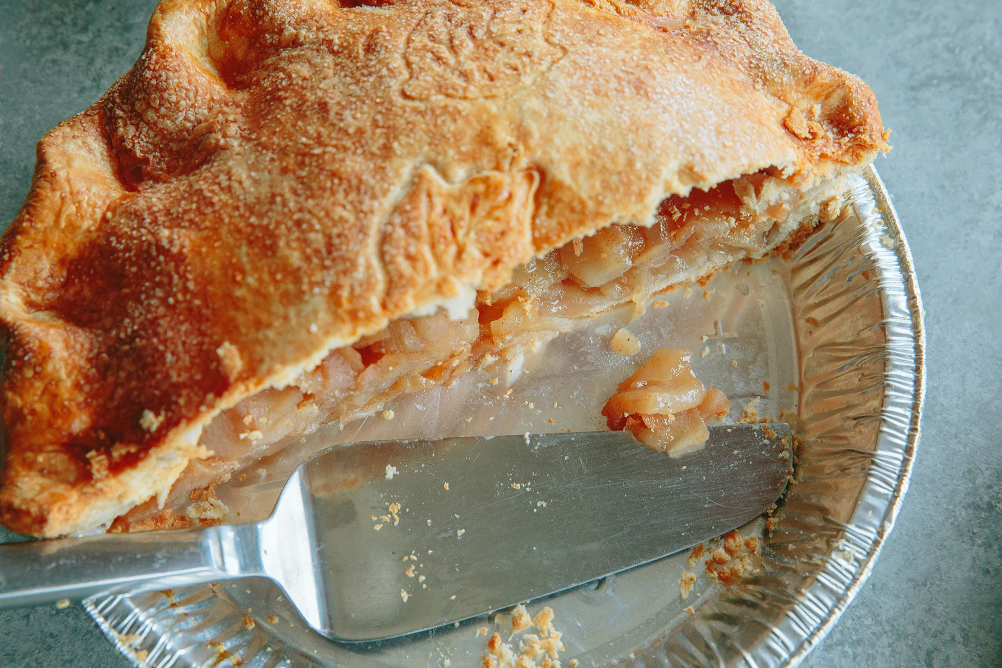 PETSI PIES_CREDIT BRIAN SAMUELS PHOTOGRAPHY_DECEMBER 2018-0044 copy.jpg