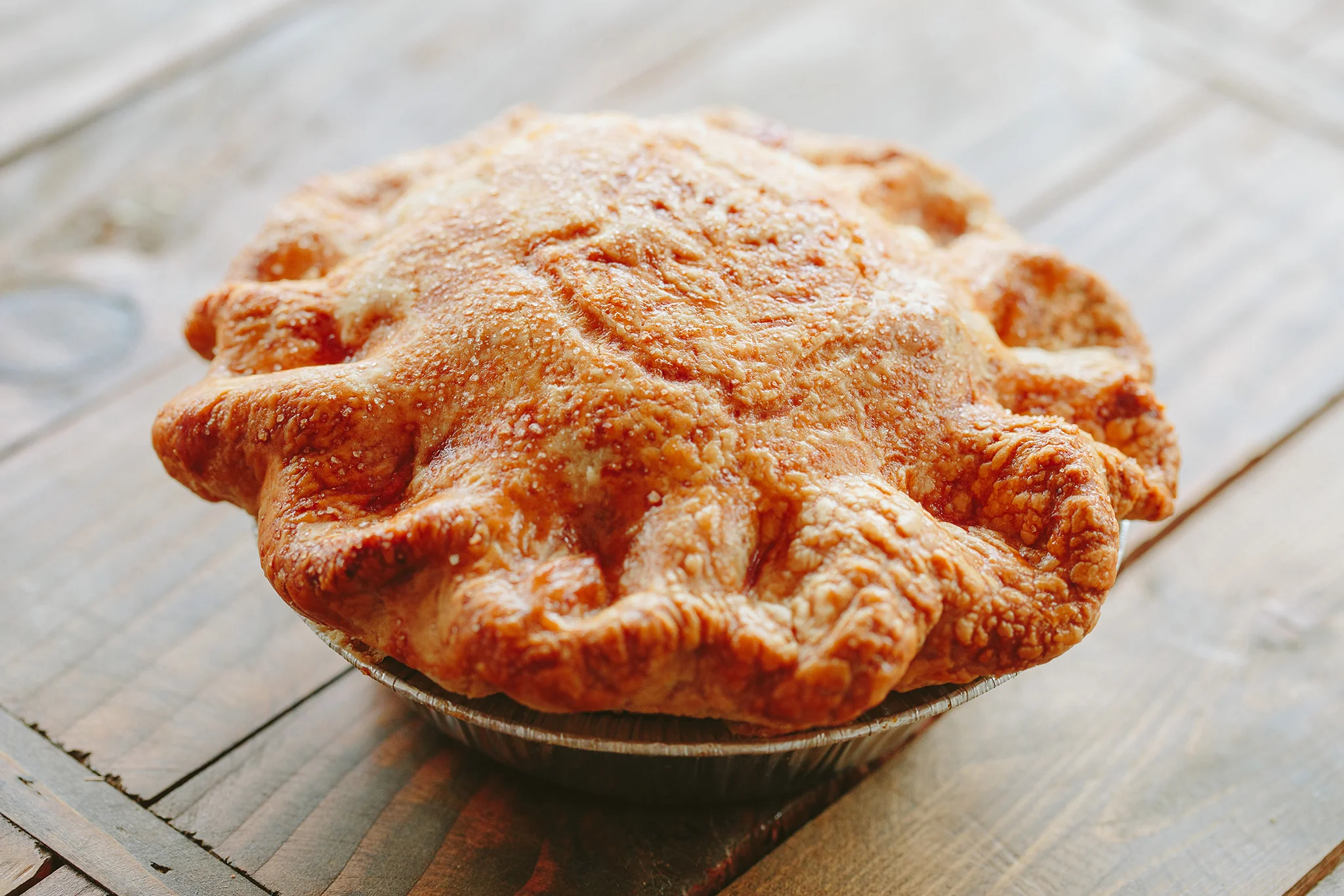 PETSI PIES_CREDIT BRIAN SAMUELS PHOTOGRAPHY_DECEMBER 2018-0120 copy.jpg