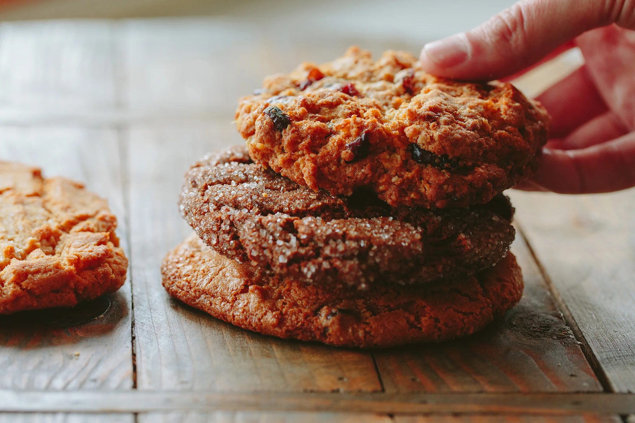 PETSI PIES_CREDIT BRIAN SAMUELS PHOTOGRAPHY_DECEMBER 2018-0123 copy.jpg