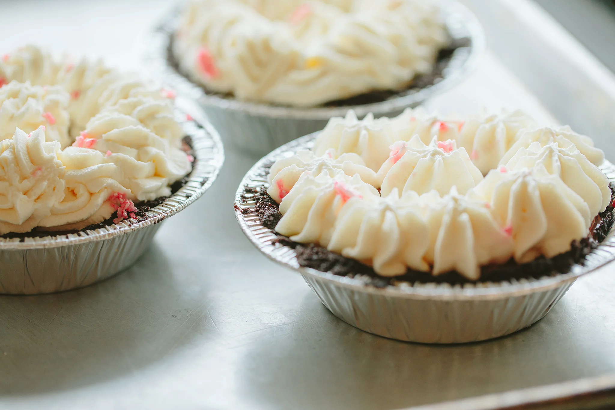 PETSI PIES_CREDIT BRIAN SAMUELS PHOTOGRAPHY_DECEMBER 2018-0150 copy.jpg