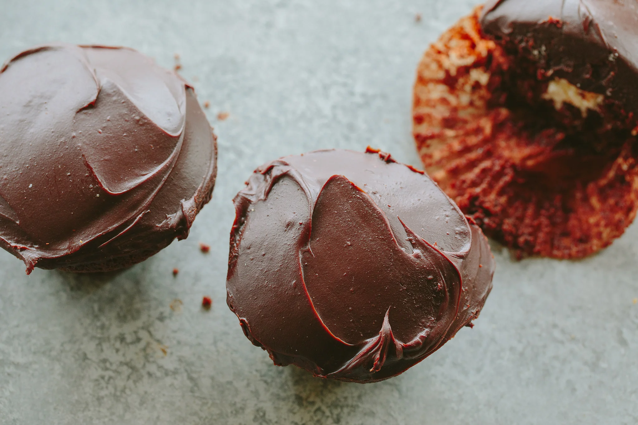 PETSI PIES_CREDIT BRIAN SAMUELS PHOTOGRAPHY_DECEMBER 2018-0165 copy.jpg