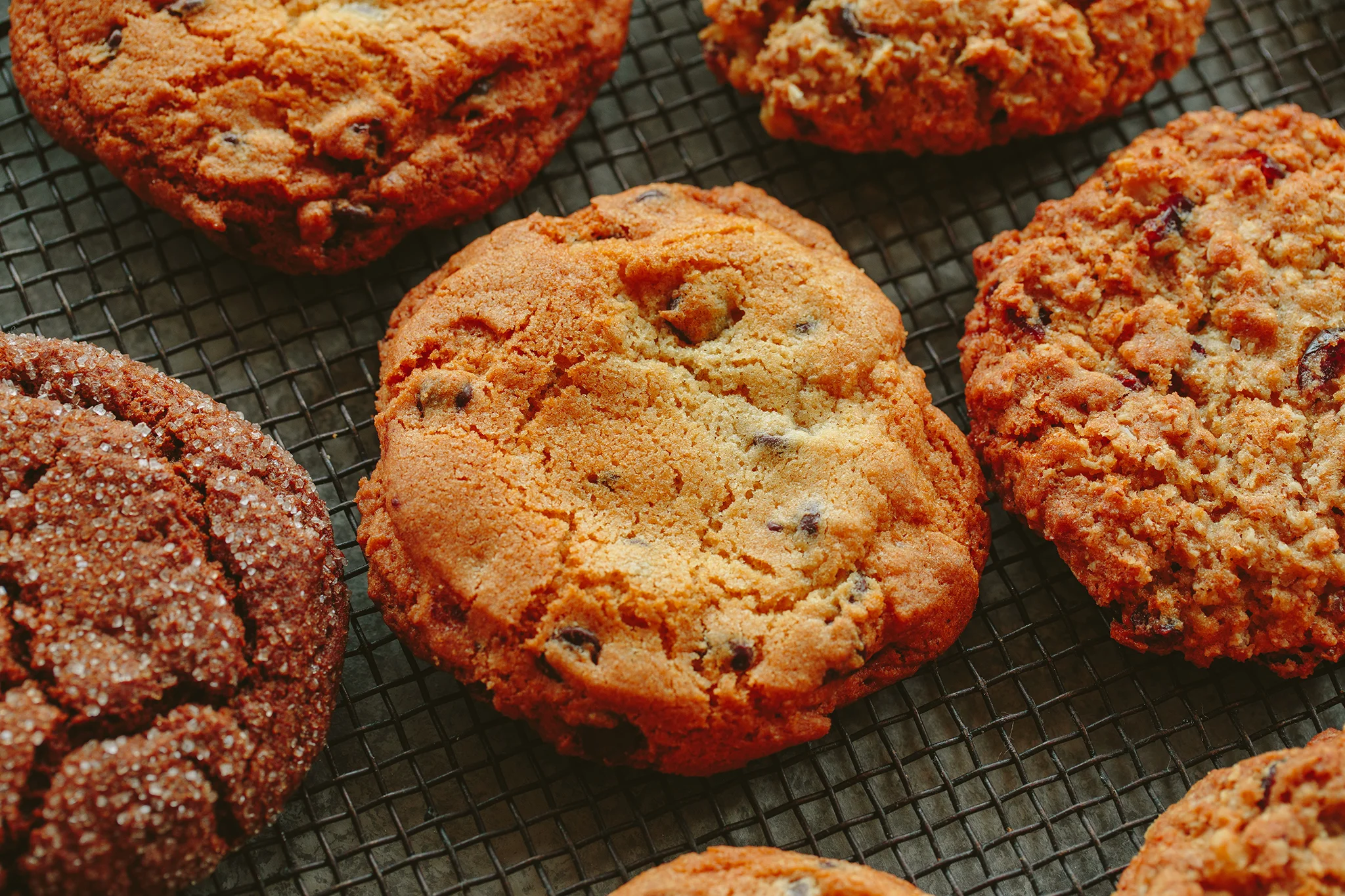 PETSI PIES_CREDIT BRIAN SAMUELS PHOTOGRAPHY_DECEMBER 2018-0171 copy.jpg