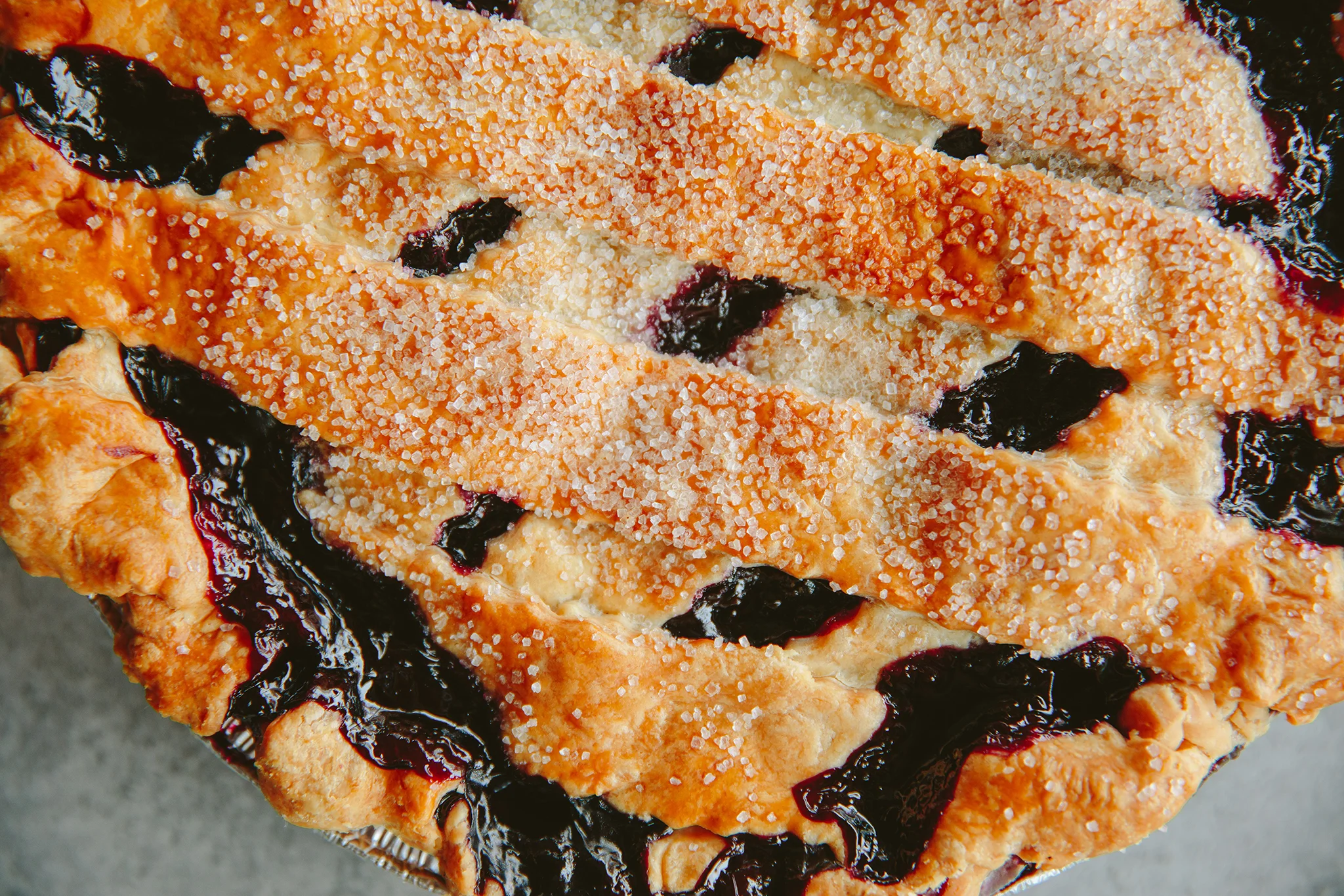 PETSI PIES_CREDIT BRIAN SAMUELS PHOTOGRAPHY_DECEMBER 2018-0256 copy.jpg