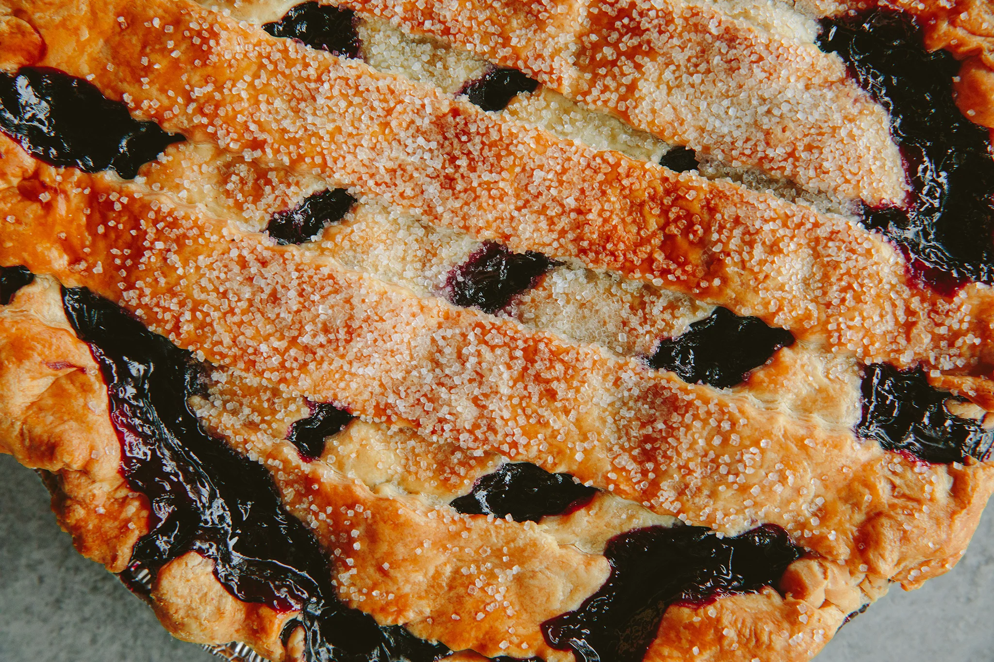 PETSI PIES_CREDIT BRIAN SAMUELS PHOTOGRAPHY_DECEMBER 2018-0263 copy.jpg