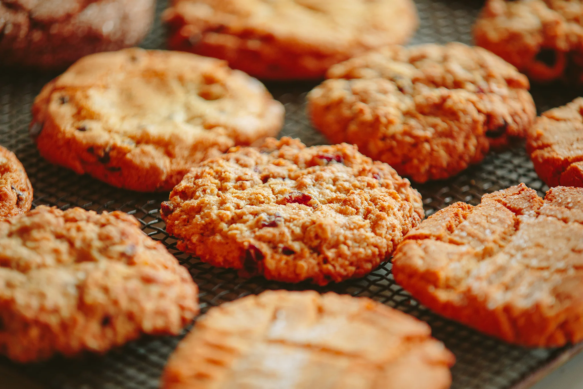 PETSI PIES_CREDIT BRIAN SAMUELS PHOTOGRAPHY_DECEMBER 2018-0333 copy.jpg