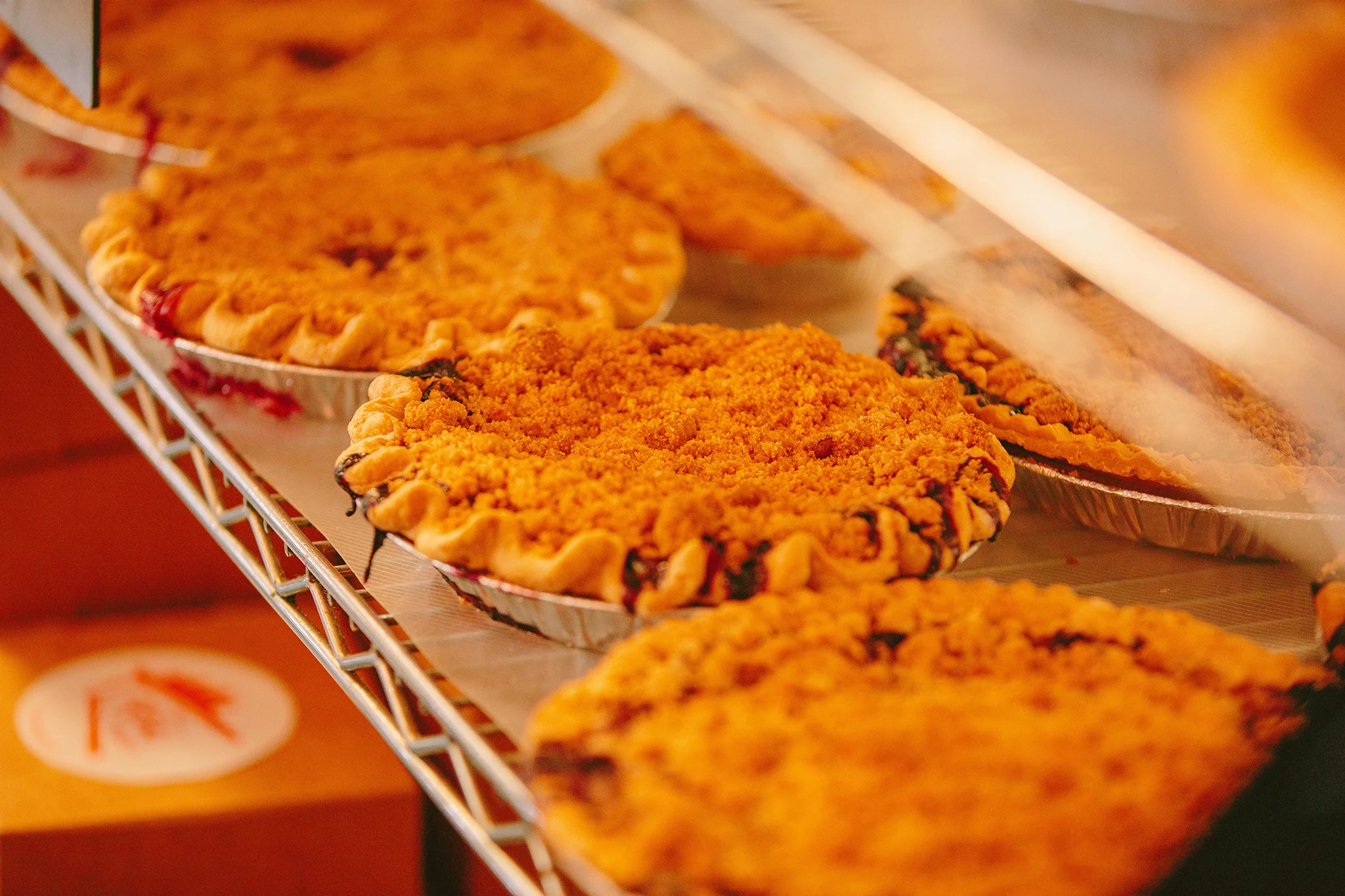 PETSI PIES_CREDIT BRIAN SAMUELS PHOTOGRAPHY_DECEMBER 2018-0358 copy.jpg