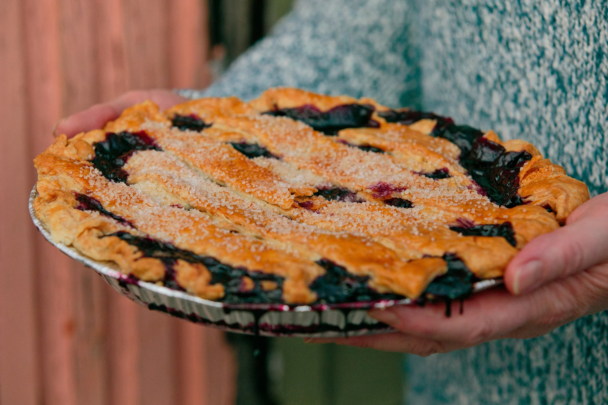 PETSI PIES_CREDIT BRIAN SAMUELS PHOTOGRAPHY_DECEMBER 2018-0500 copy.jpg