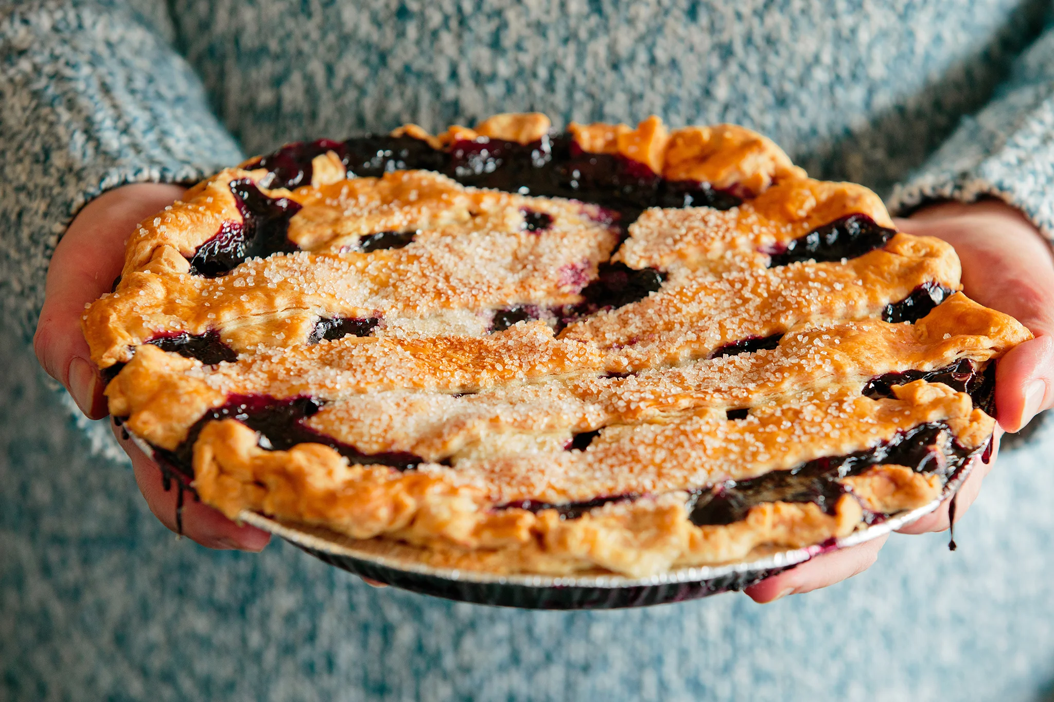 PETSI PIES_CREDIT BRIAN SAMUELS PHOTOGRAPHY_DECEMBER 2018-0536 copy.jpg