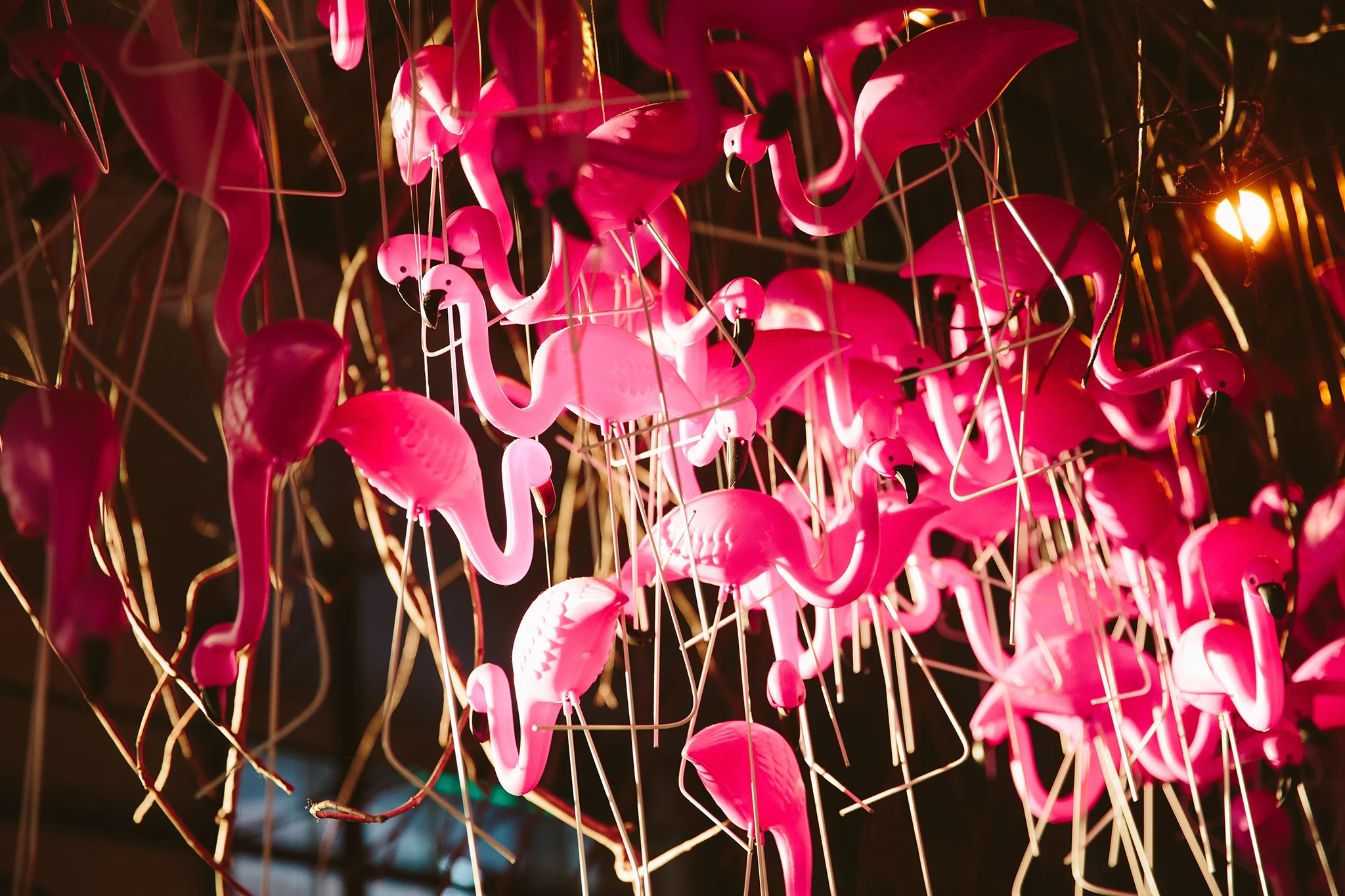 BANYAN_CREDIT BRIAN SAMUELS PHOTOGRAPHY_JANUARY 2019-0680 copy.jpg