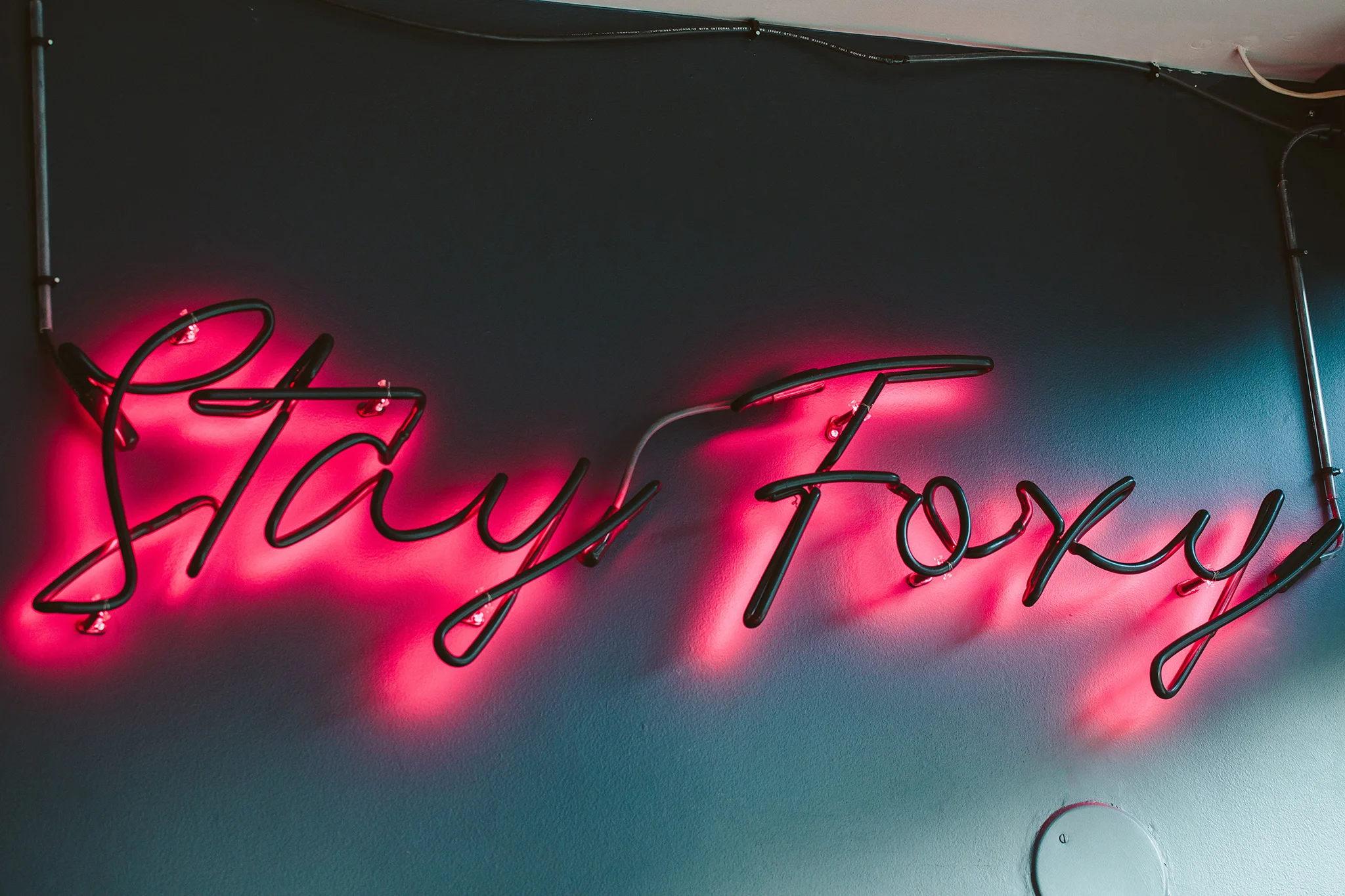 FOX & THE KNIFE_CREDIT BRIAN SAMUELS PHOTOGRAPHY_FEBRUARY 2019-0621 copy.jpg