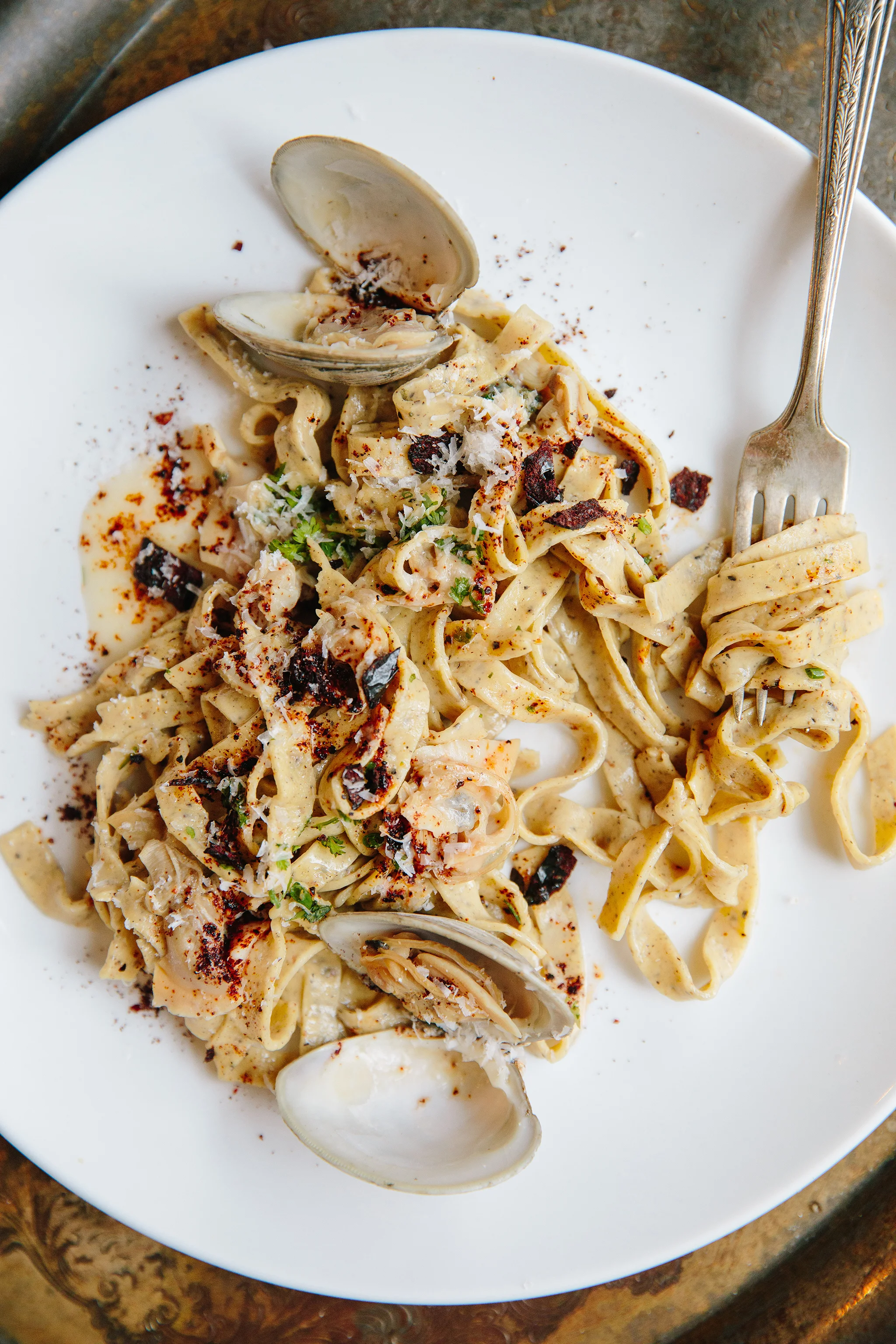 PEREGRINE_BRIAN SAMUELS PHOTOGRAPHY_FEBRUARY 2019-0214 copy.jpg