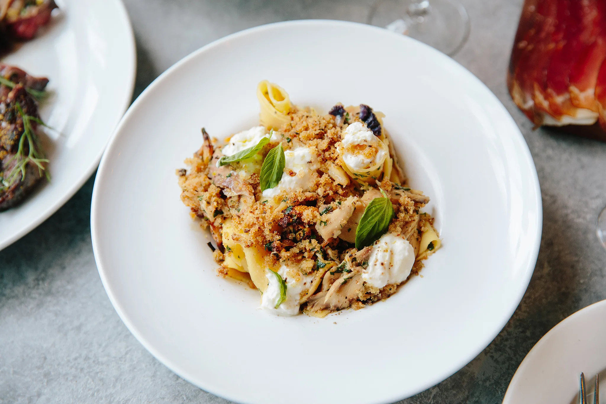 PEREGRINE_BRIAN SAMUELS PHOTOGRAPHY_FEBRUARY 2019-0259 copy.jpg