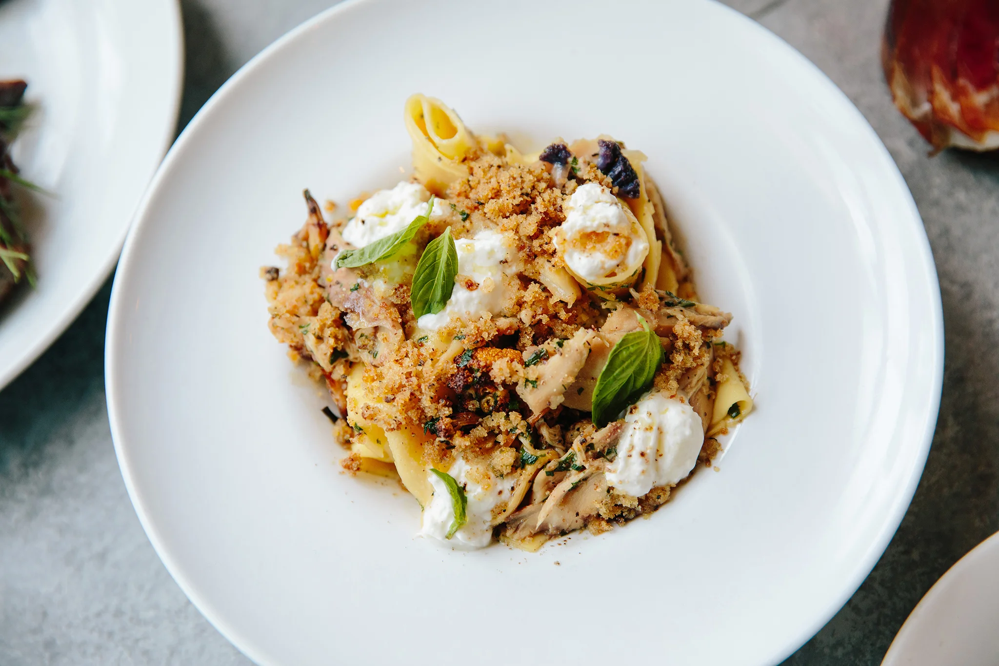 PEREGRINE_BRIAN SAMUELS PHOTOGRAPHY_FEBRUARY 2019-0263 copy.jpg