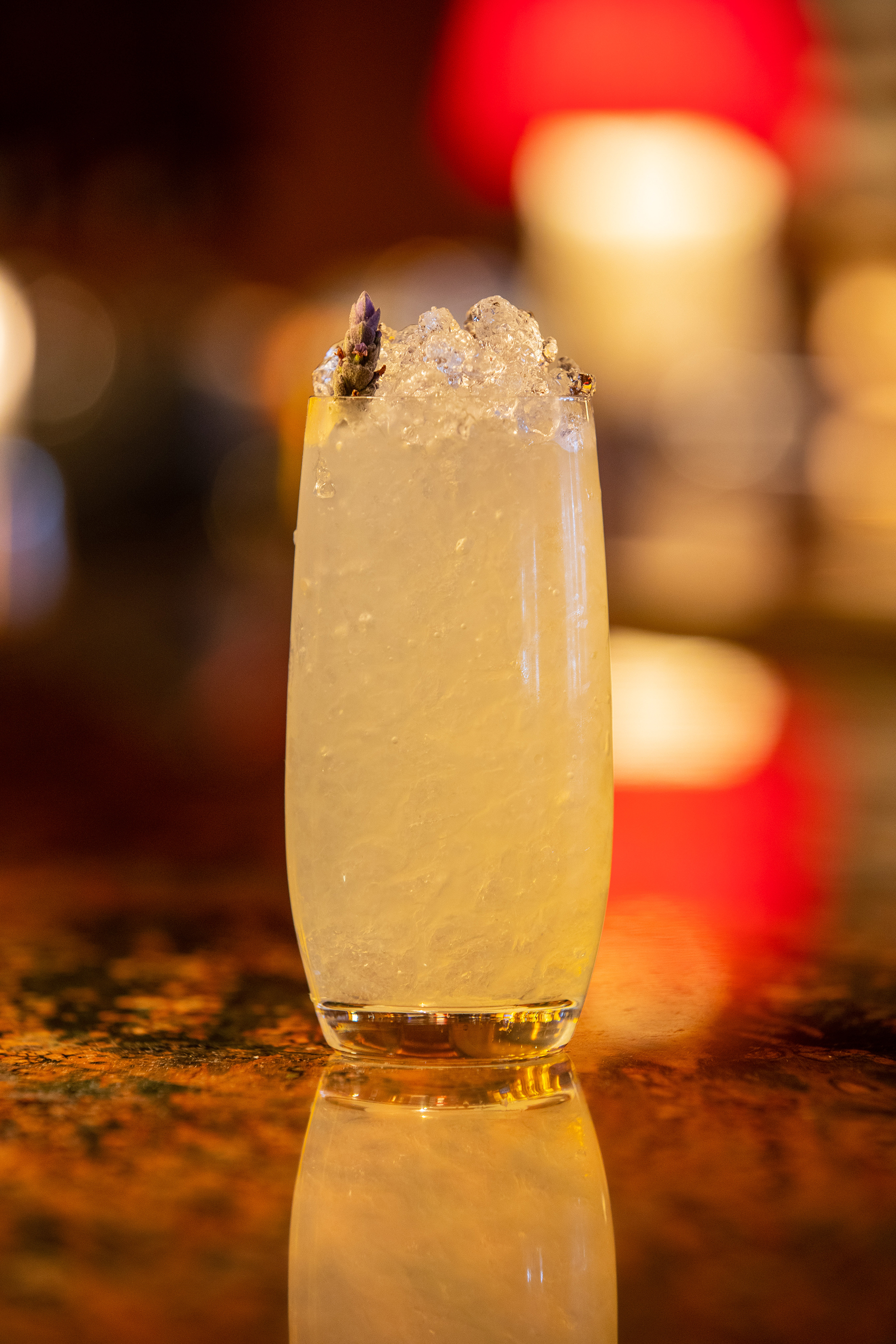 FOUR SEASONS BOSTON_BRISTOL LOUNGE_SPRING MENU_BRIAN SAMUELS PHOTOGRAPHY_MARCH 2019-99 copy.jpg