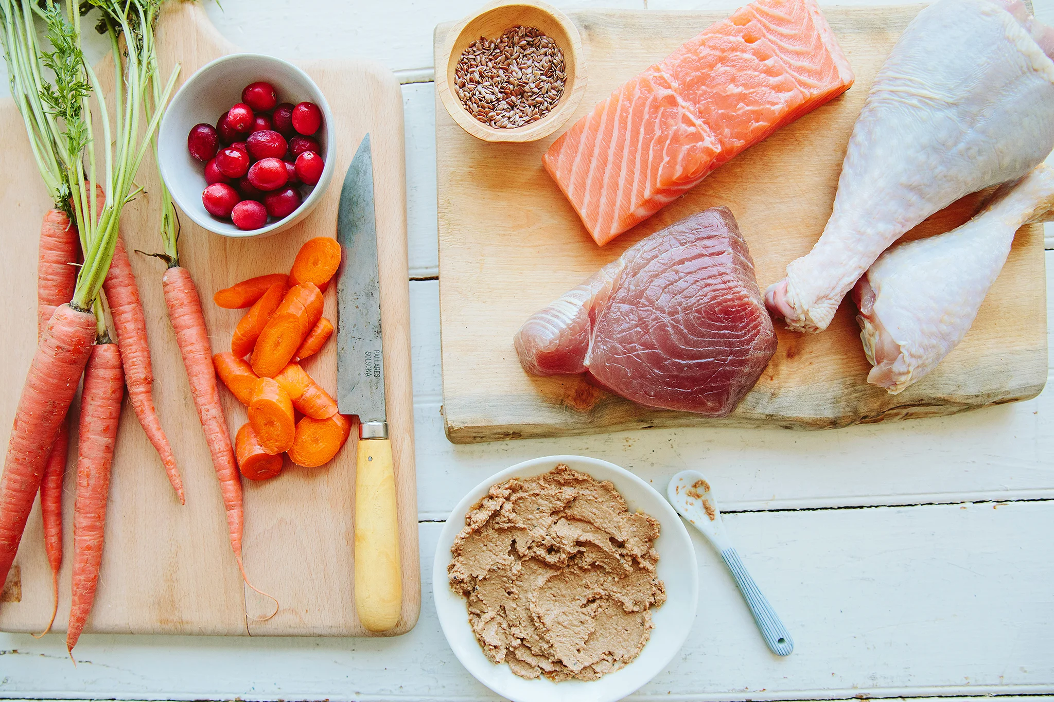 WELLNESS PET_BRIAN SAMUELS PHOTOGRAPHY_06MAY2019-20 copy.jpg