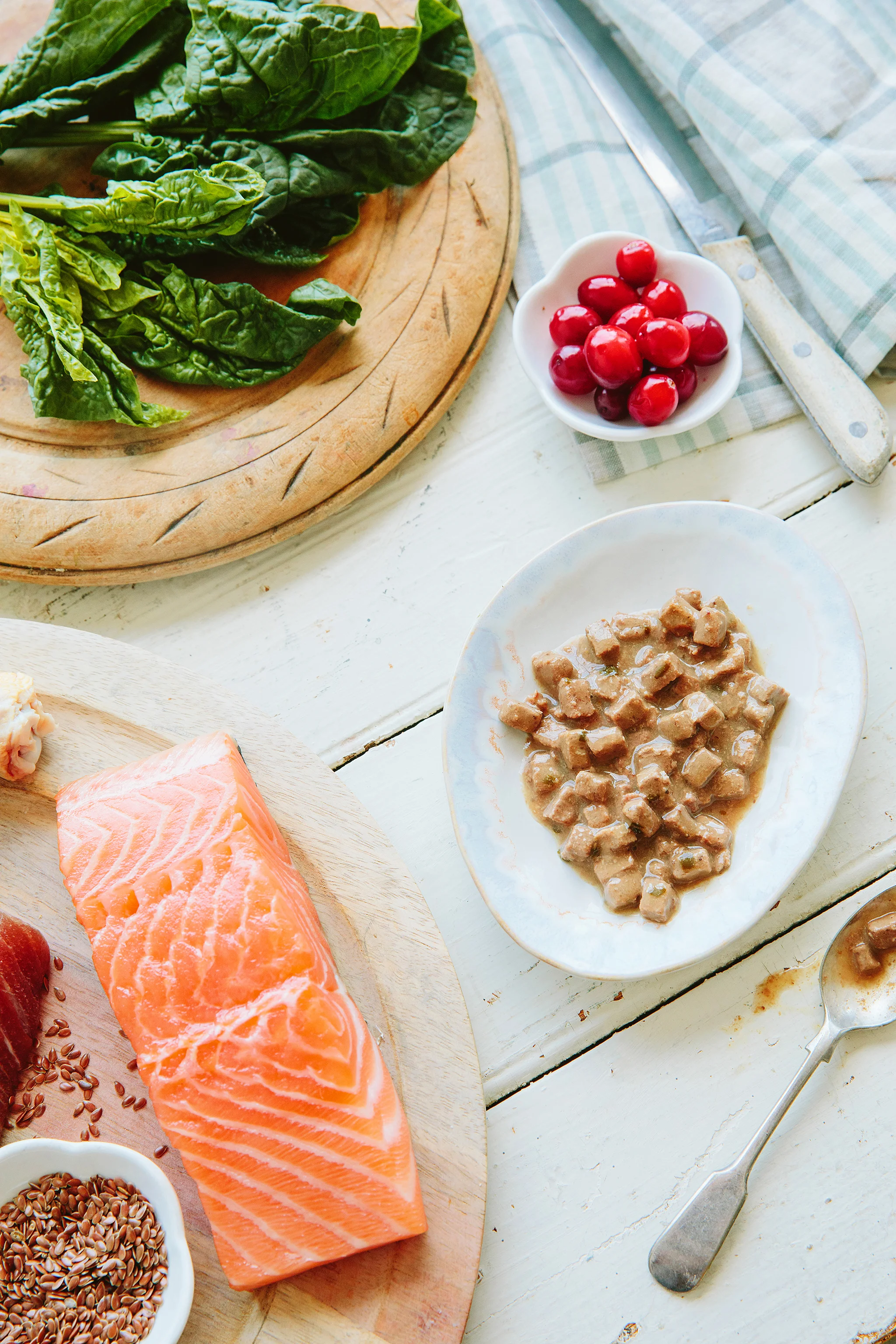 WELLNESS PET_BRIAN SAMUELS PHOTOGRAPHY_06MAY2019-27 copy.jpg