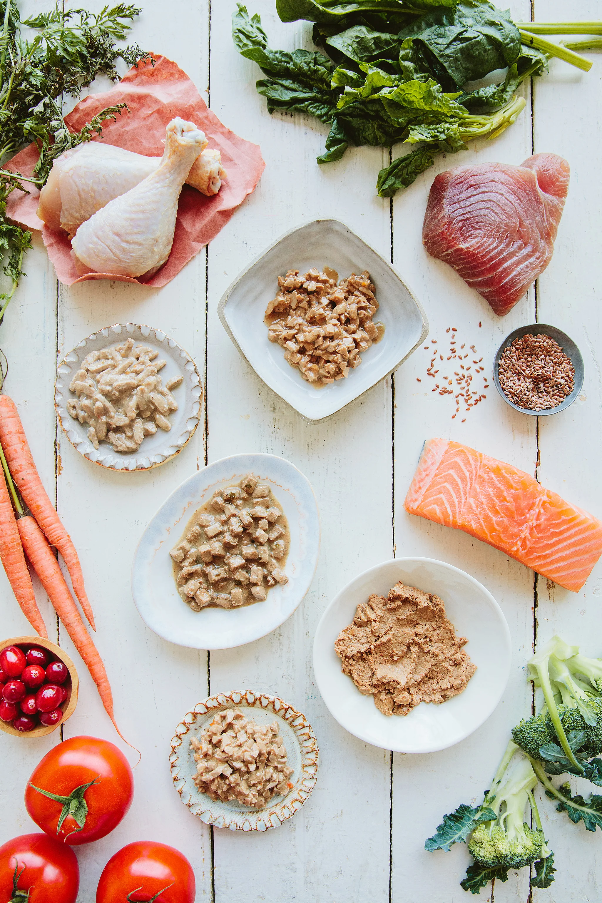 WELLNESS PET_BRIAN SAMUELS PHOTOGRAPHY_06MAY2019-32 copy.jpg