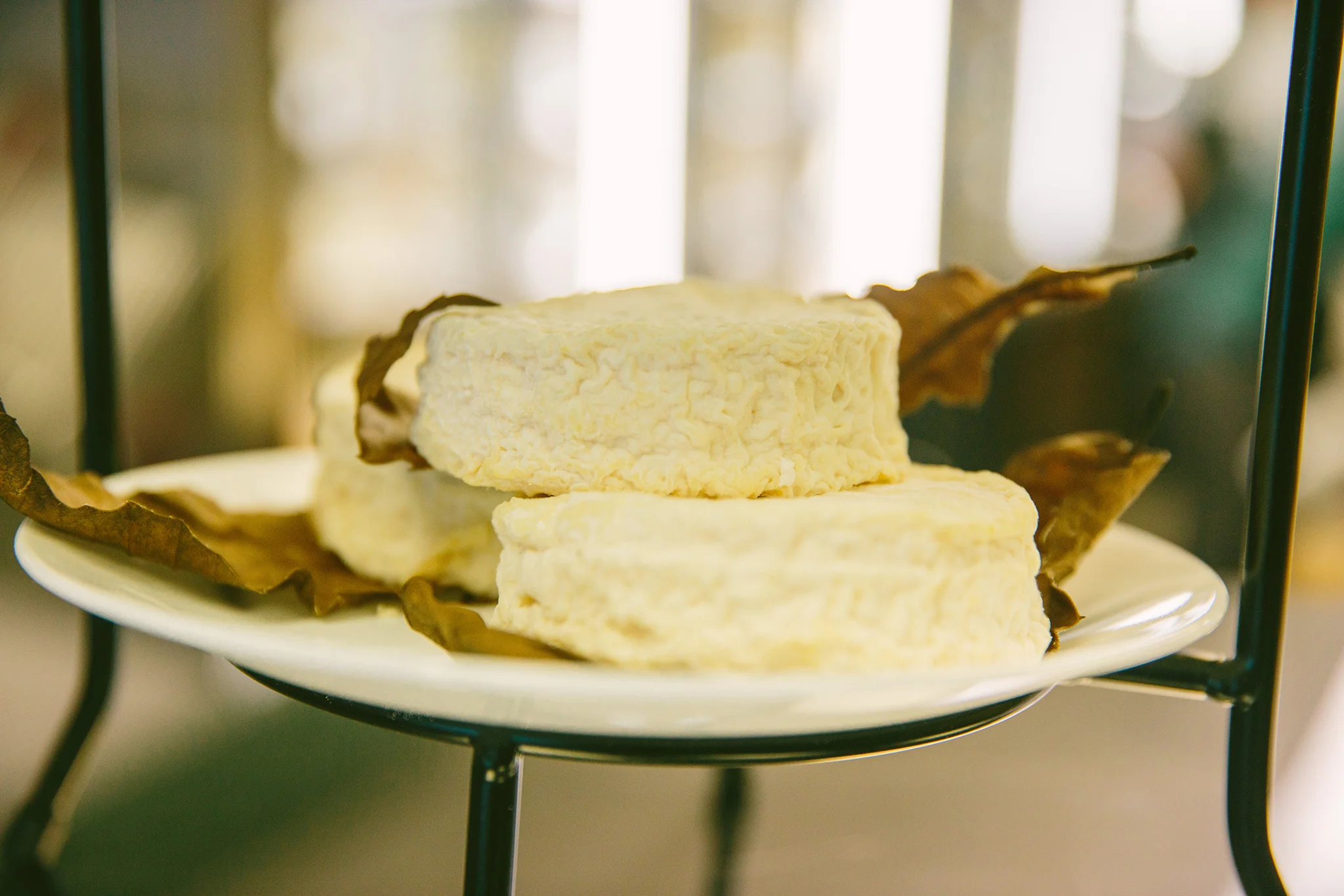 WASIK'S CHEESE_BRIAN SAMUELS PHOTOGRAPHY_MAY 2019-0300 copy.jpg
