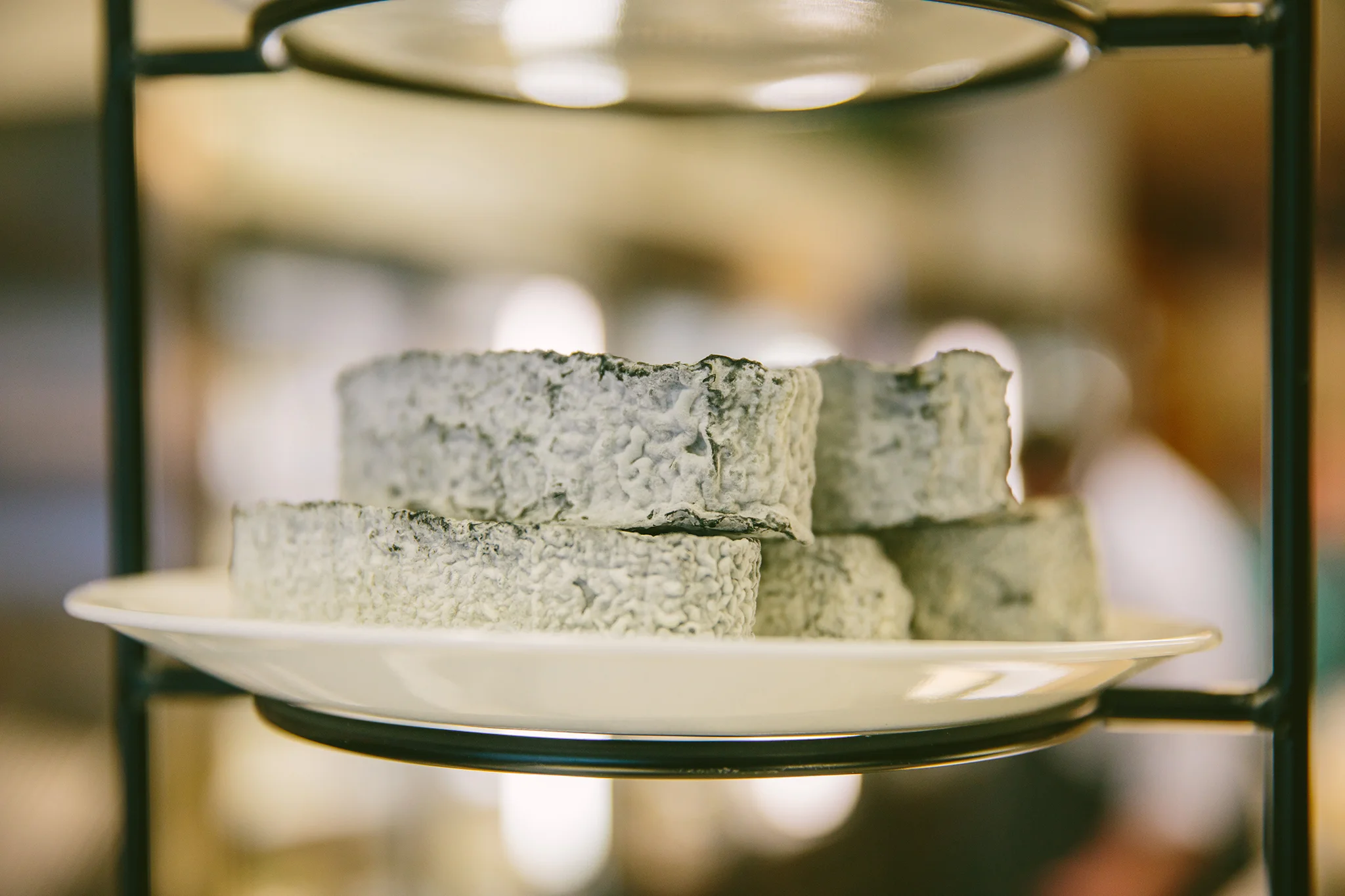 WASIK'S CHEESE_BRIAN SAMUELS PHOTOGRAPHY_MAY 2019-0302 copy.jpg