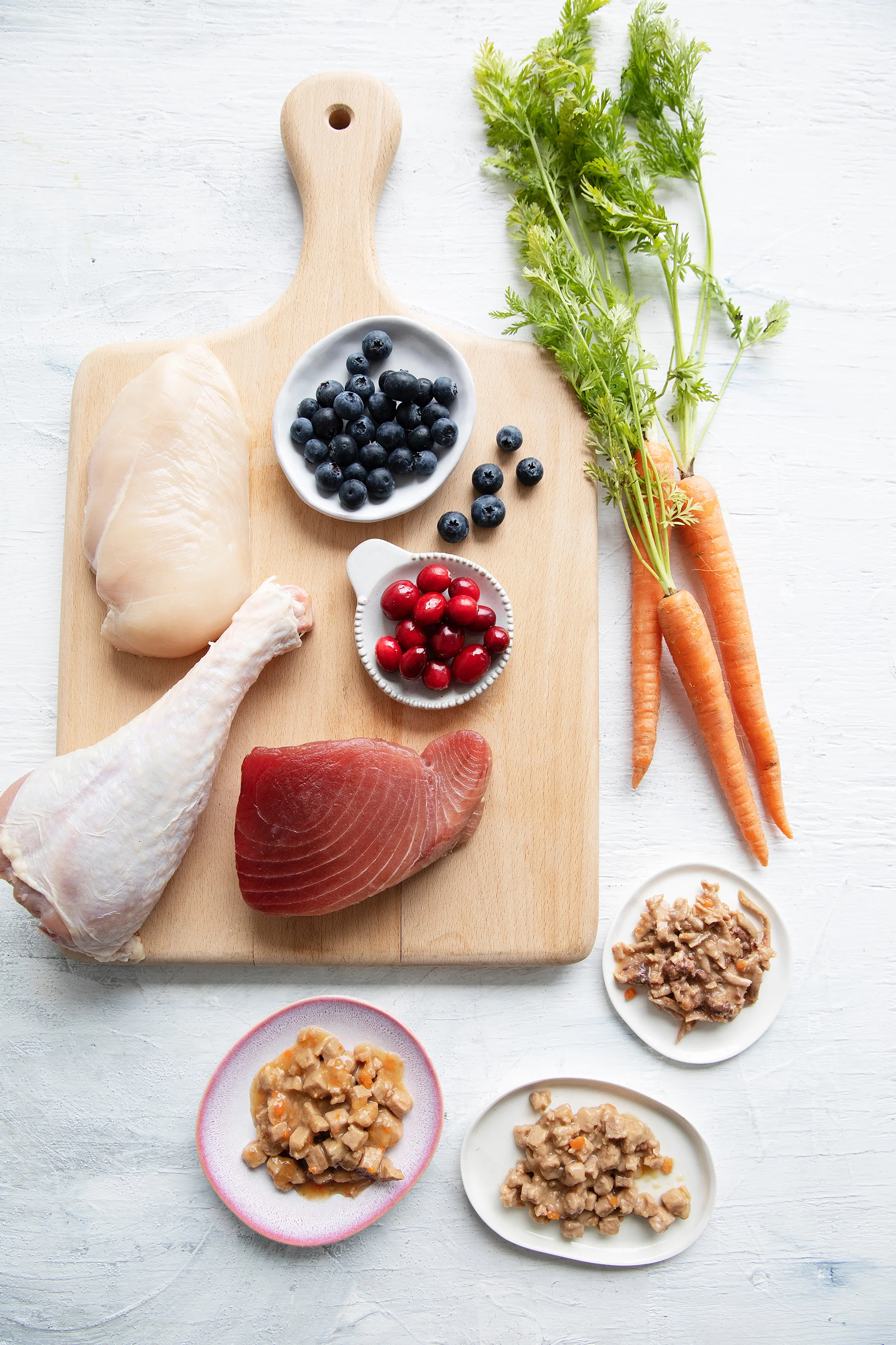 WELLNESS PET_BRIAN SAMUELS PHOTOGRAPHY_13MAY2019 - 30 copy.jpg