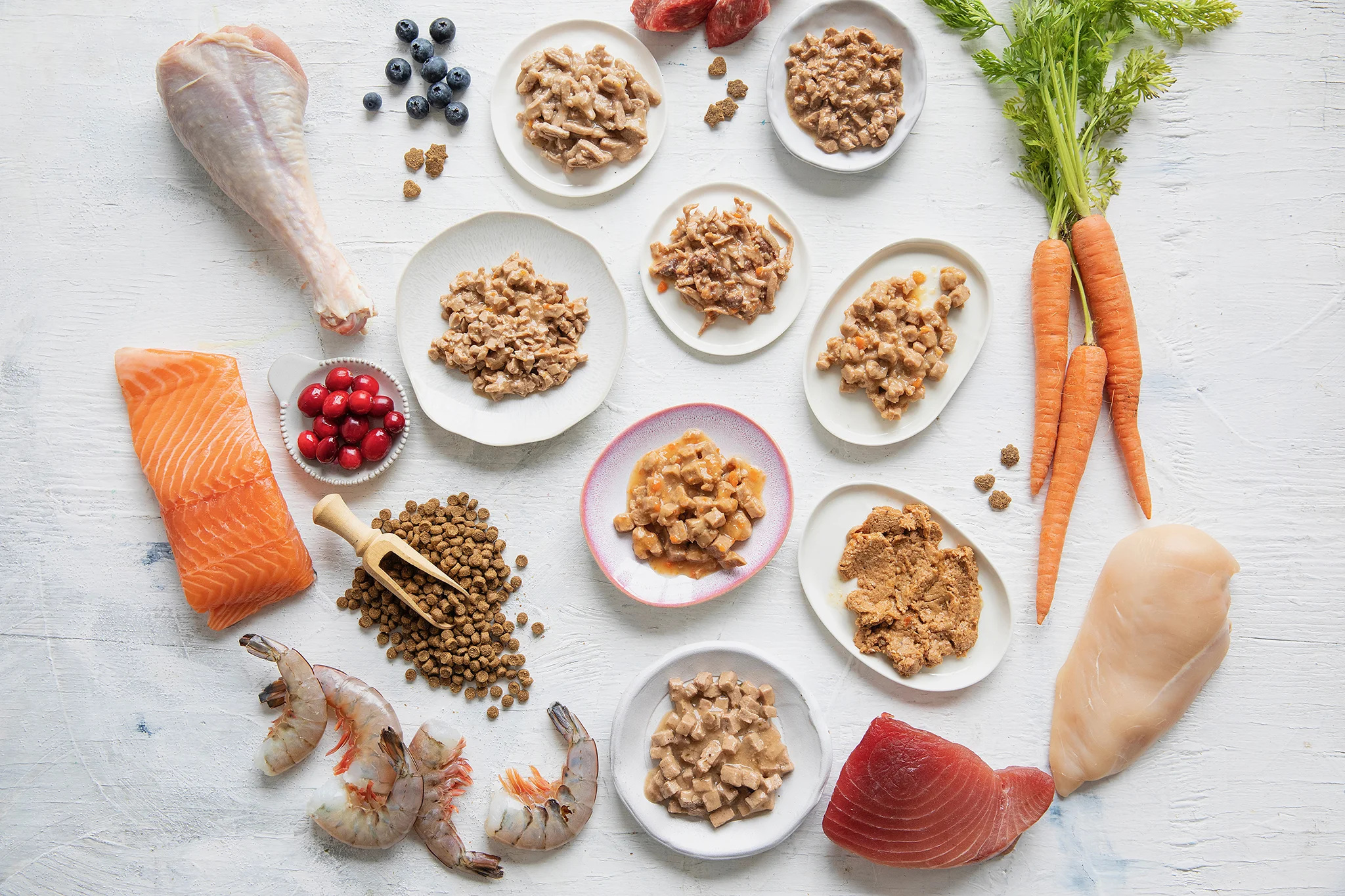 WELLNESS PET_BRIAN SAMUELS PHOTOGRAPHY_13MAY2019 - 31 copy.jpg