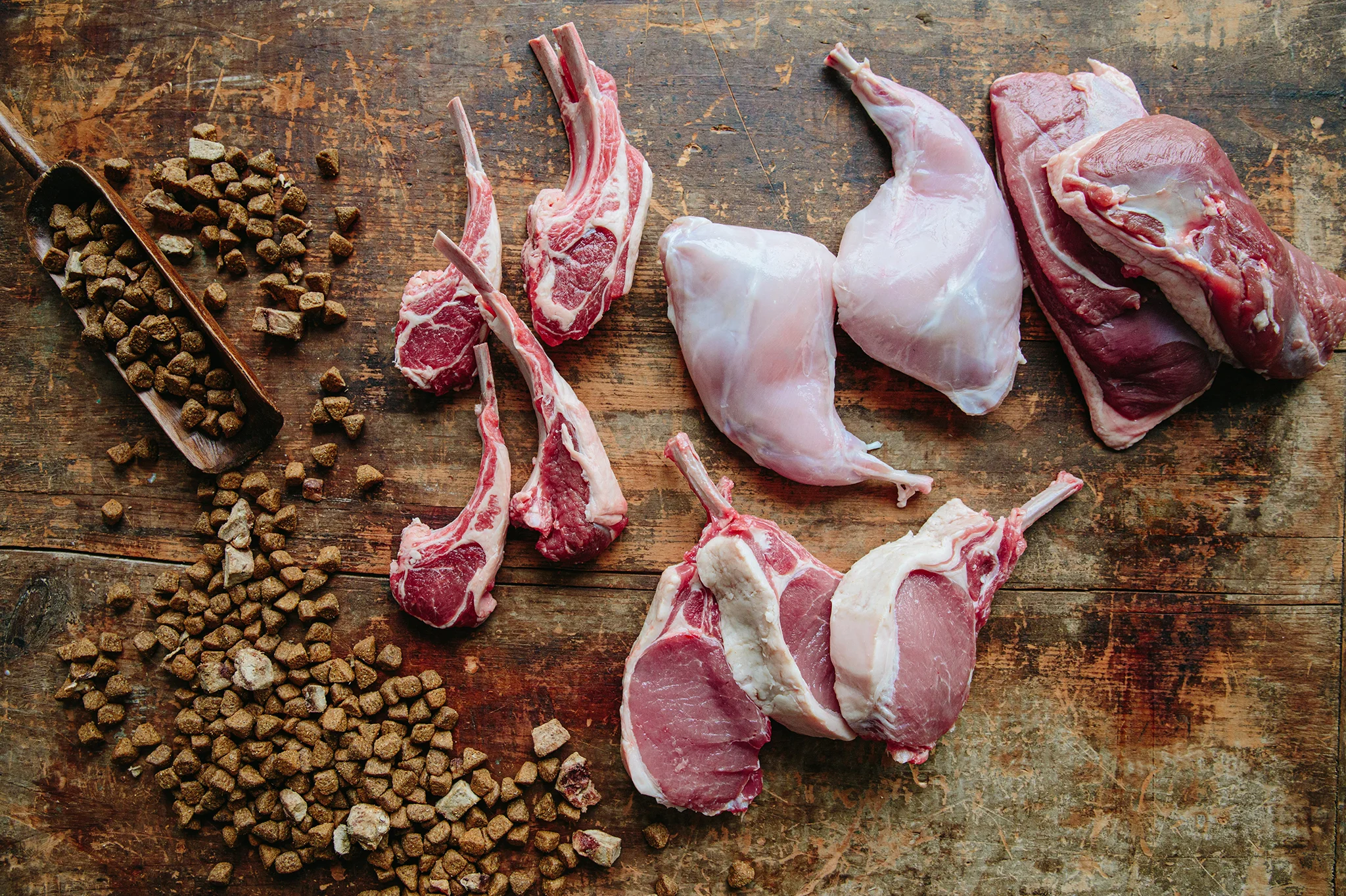 WELLNESS PET_BRIAN SAMUELS PHOTOGRAPHY_14MAY2019 - 14 copy.jpg