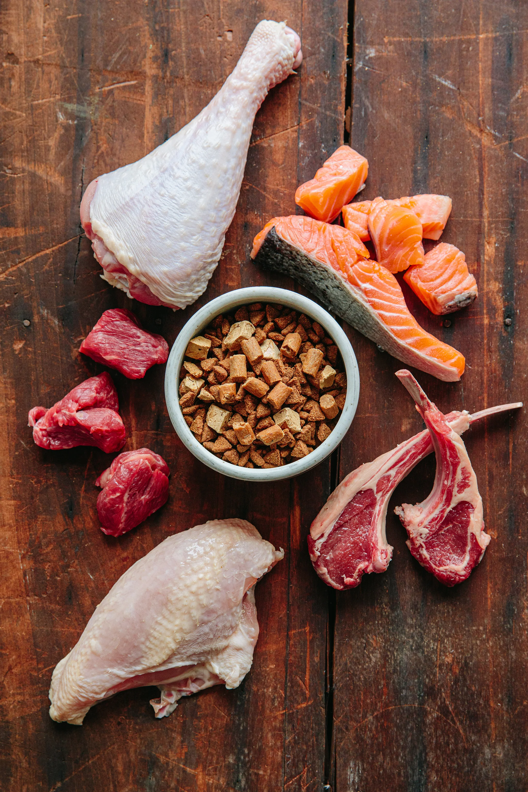 WELLNESS PET_BRIAN SAMUELS PHOTOGRAPHY_14MAY2019 - 30 copy.jpg