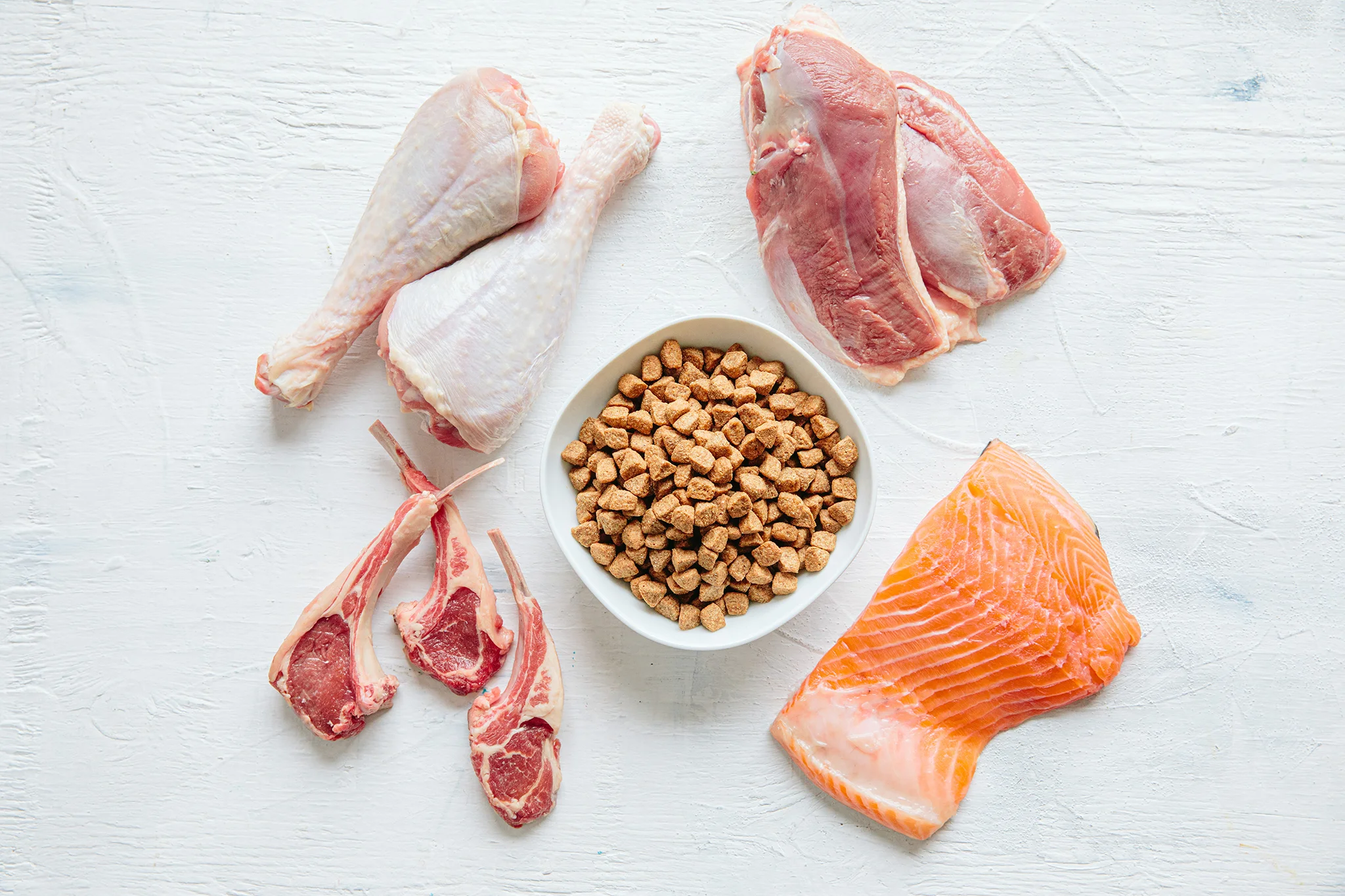 WELLNESS PET_BRIAN SAMUELS PHOTOGRAPHY_14MAY2019 - 33 copy.jpg