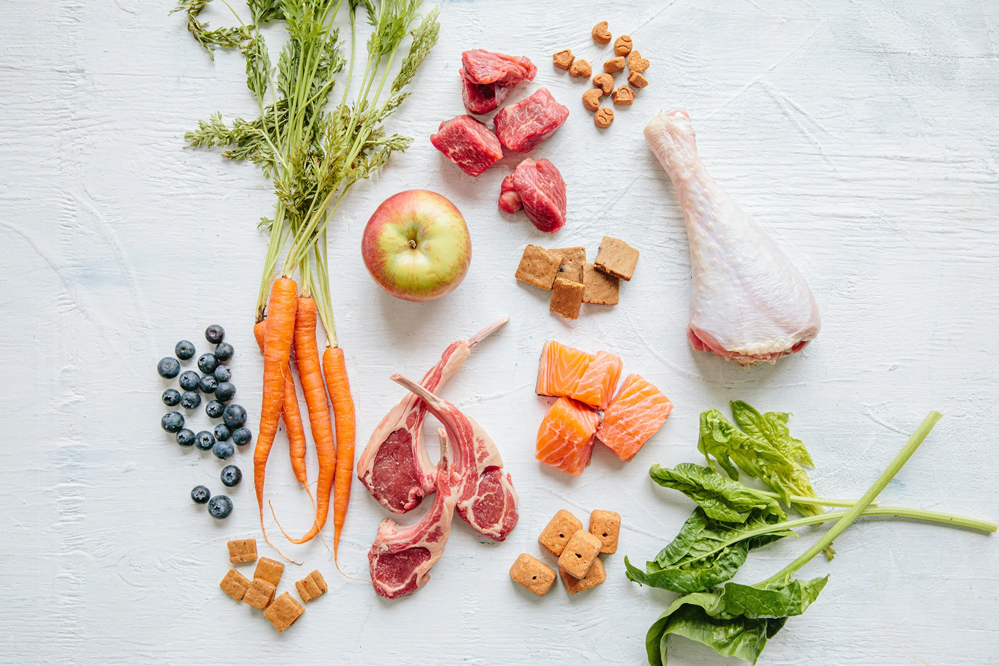 WELLNESS PET_BRIAN SAMUELS PHOTOGRAPHY_14MAY2019 - 34 copy.jpg