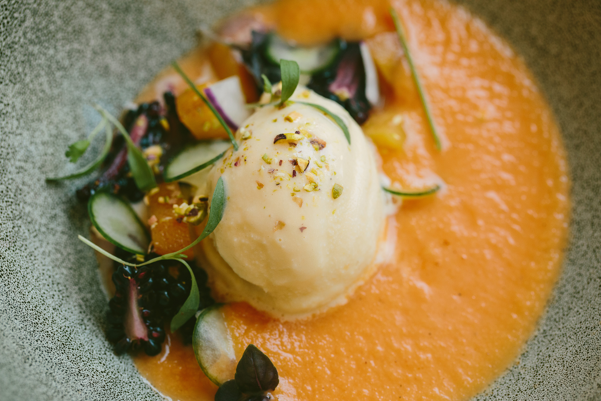 FOUR SEASONS BOSTON_2019 SUMMER MENU-1259 copy.jpg