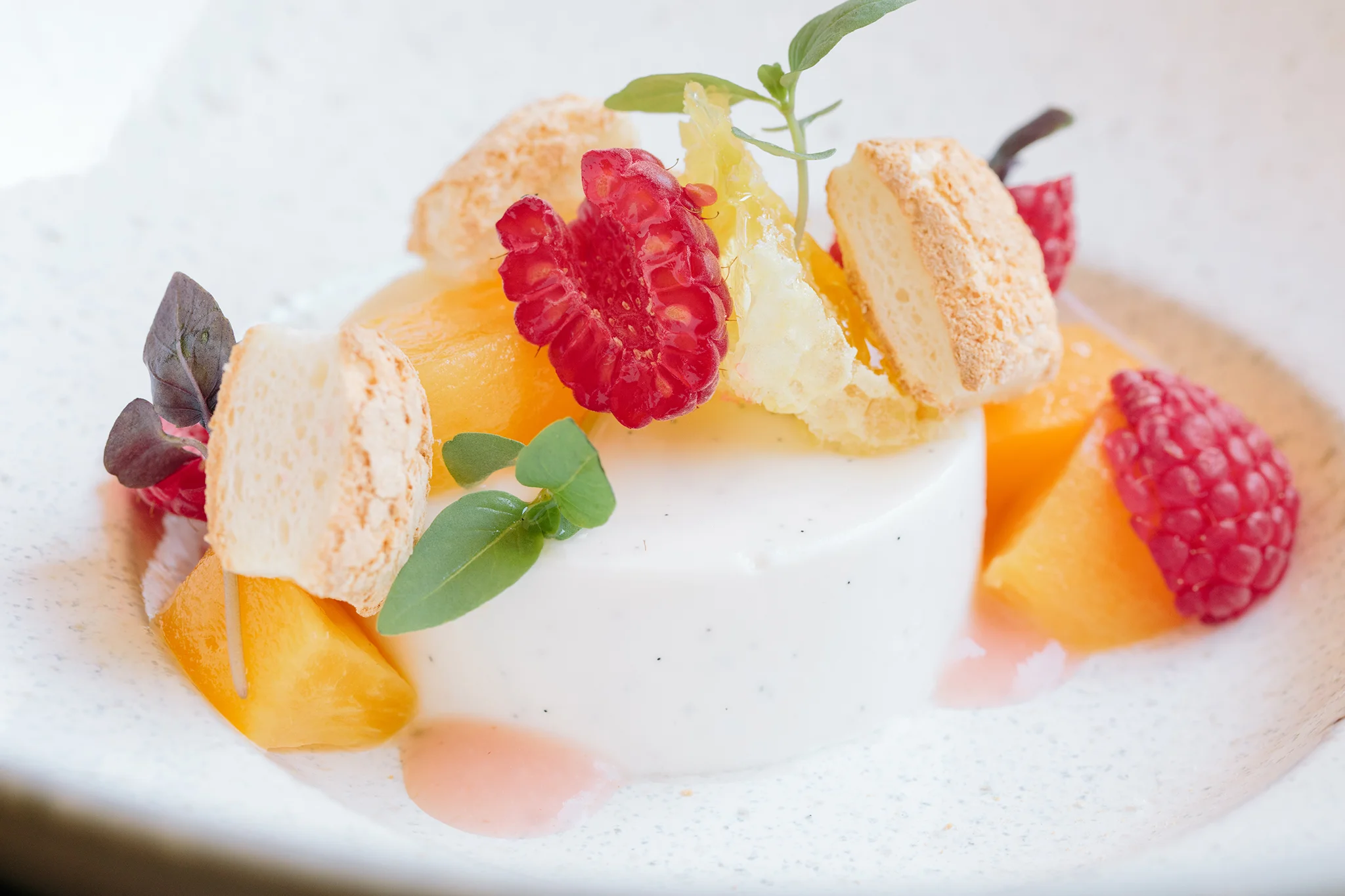 FOUR SEASONS BOSTON_2019 SUMMER MENU-1416 copy.jpg