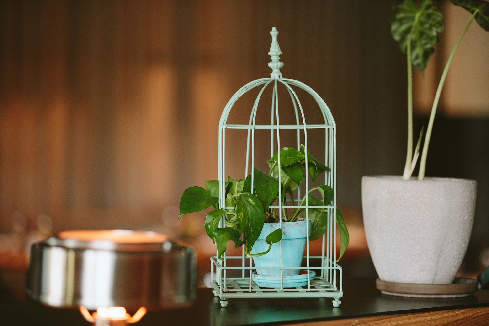 CHICKADEE_INTERIORS_BRIAN SAMUELS PHOTOGRAPHY_JULY 2019-1011 copy.jpg