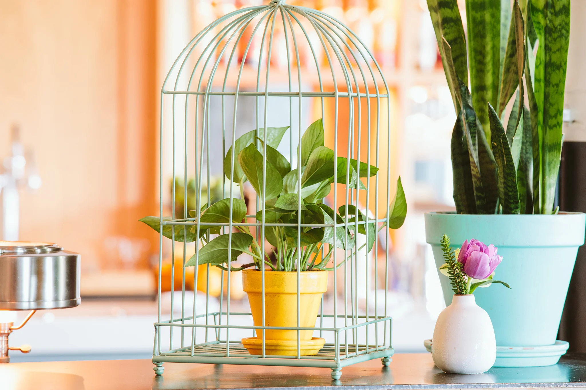 CHICKADEE_INTERIORS_BRIAN SAMUELS PHOTOGRAPHY_JULY 2019-1108 copy.jpg